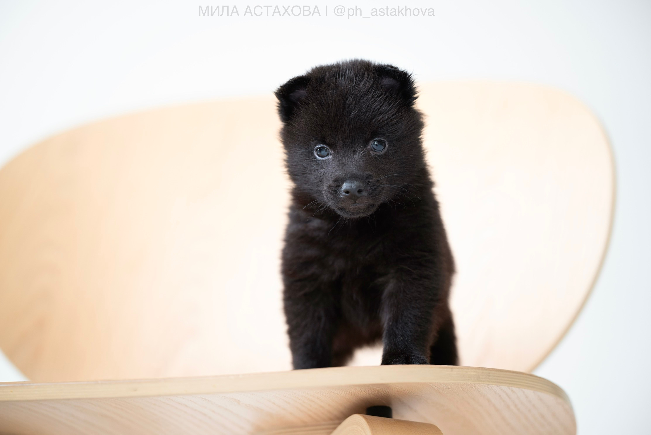 Для Анастасии. Мила Астахова