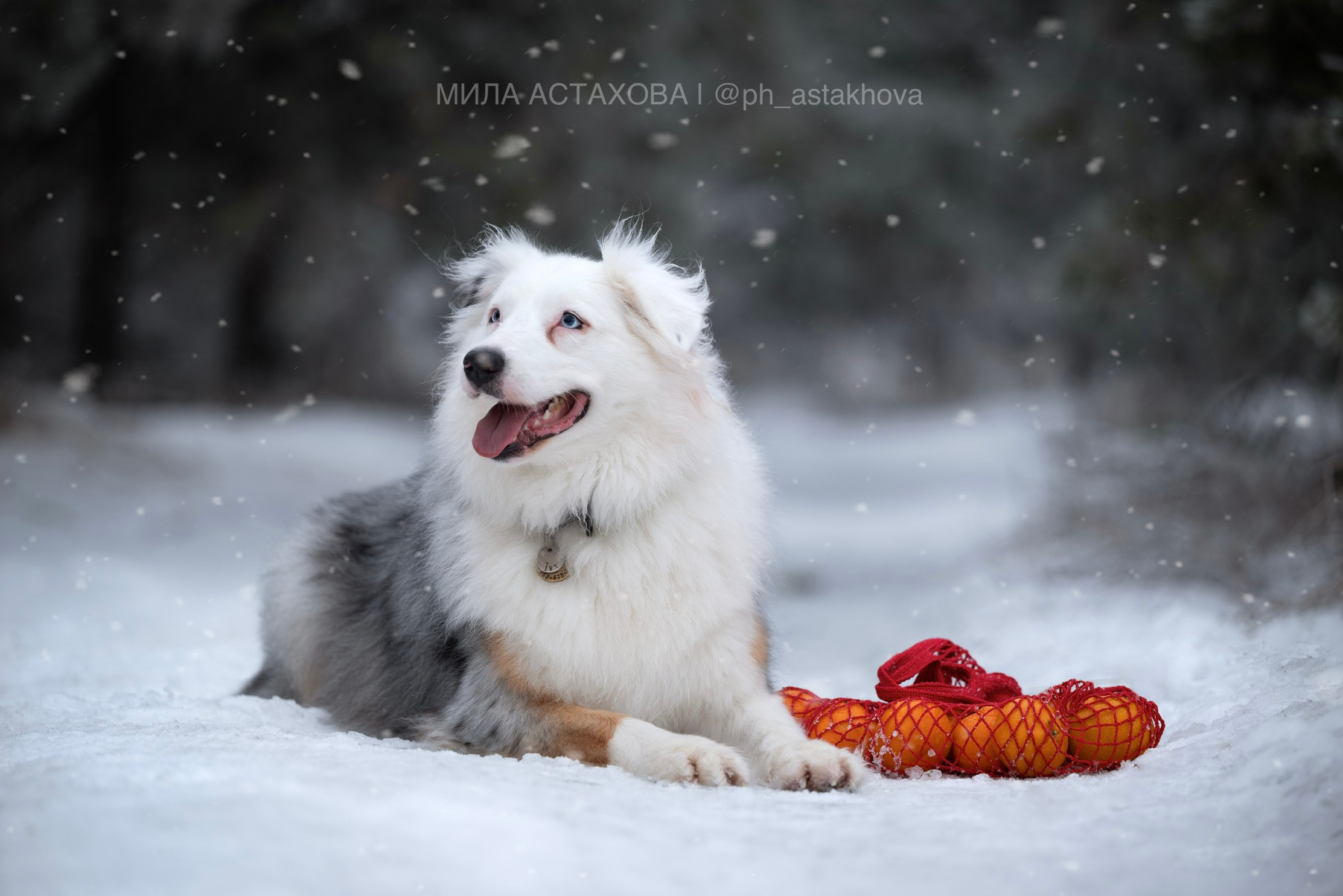 Кристина и Айви. Мила Астахова