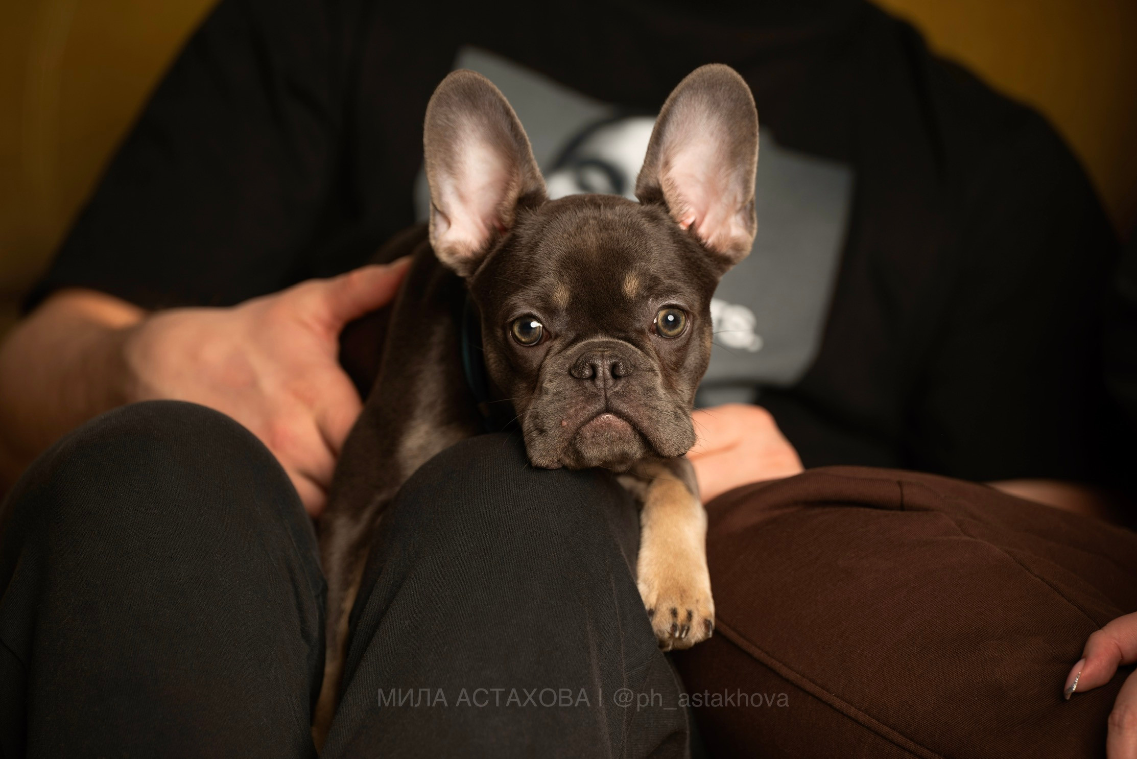 Евгения и Кекс. Мила Астахова