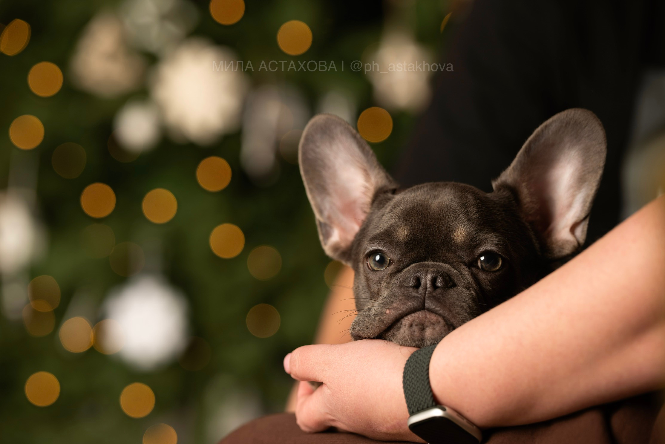 Евгения и Кекс. Мила Астахова