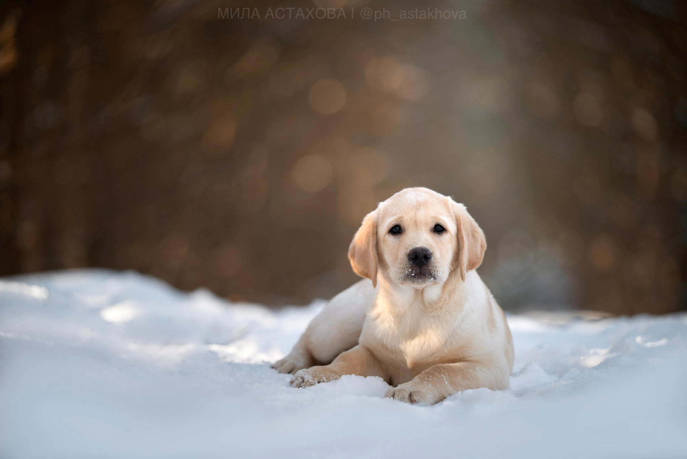 Для Ольги. Мила Астахова