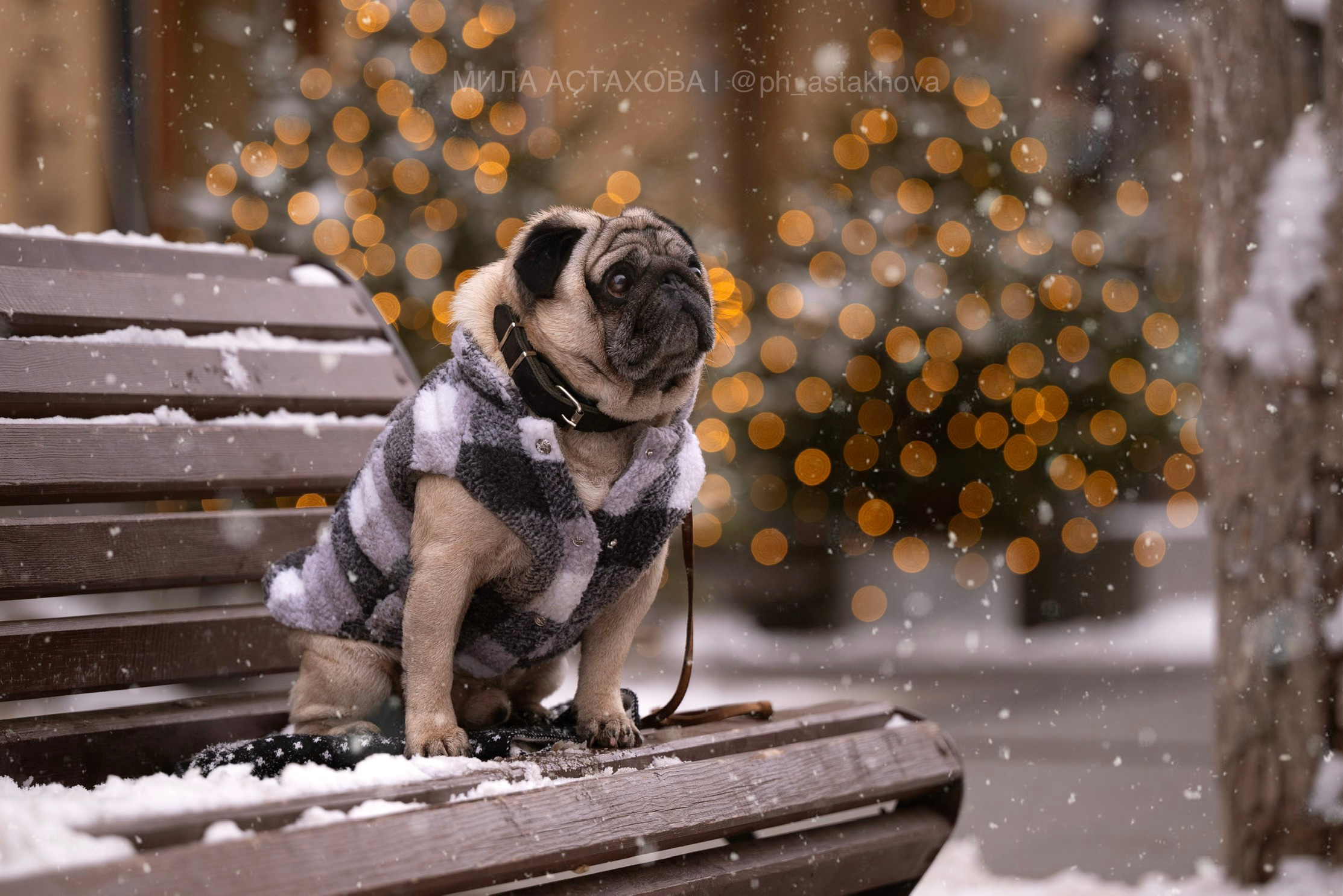 Чупс и Анастасия. Мила Астахова