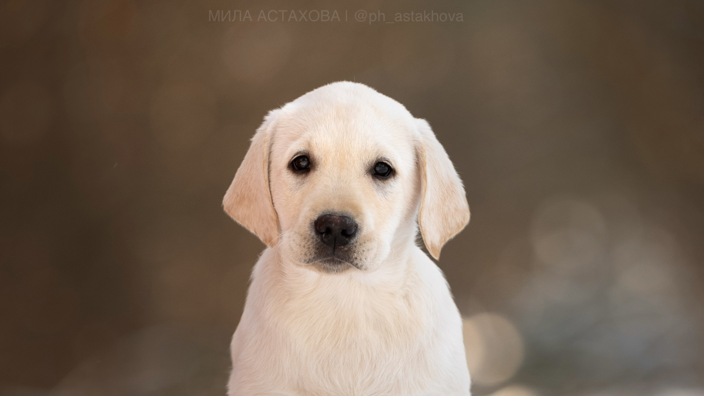 Для Ольги. Мила Астахова