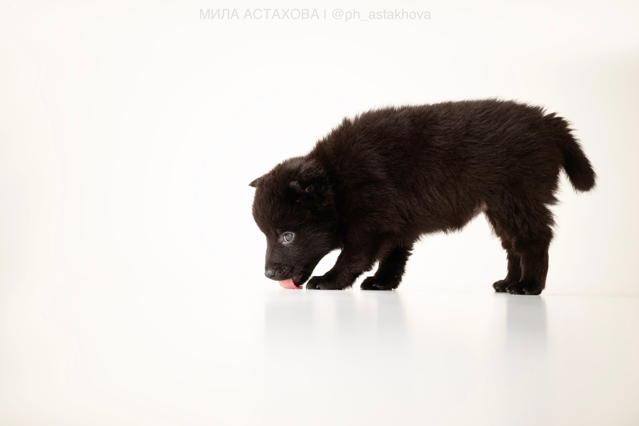 Для Анастасии. Мила Астахова