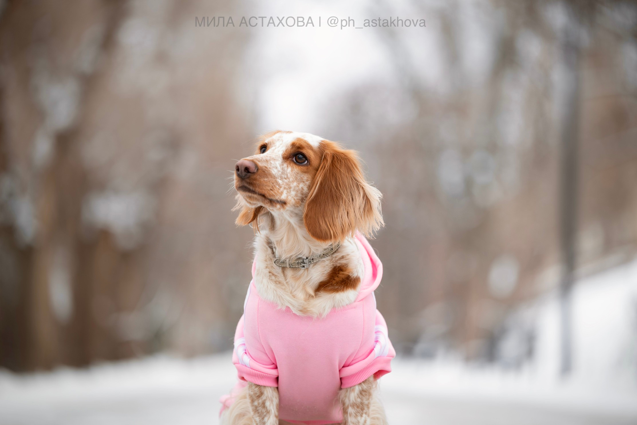 Настя и Юта. Мила Астахова