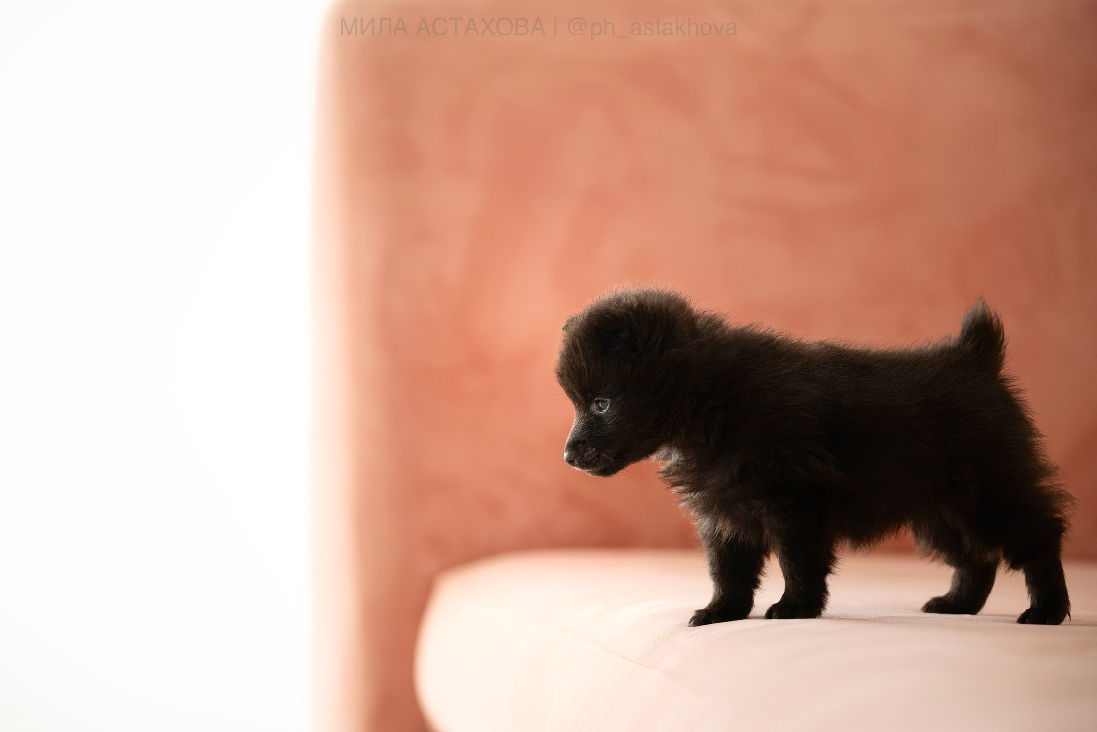 Для Анастасии. Мила Астахова