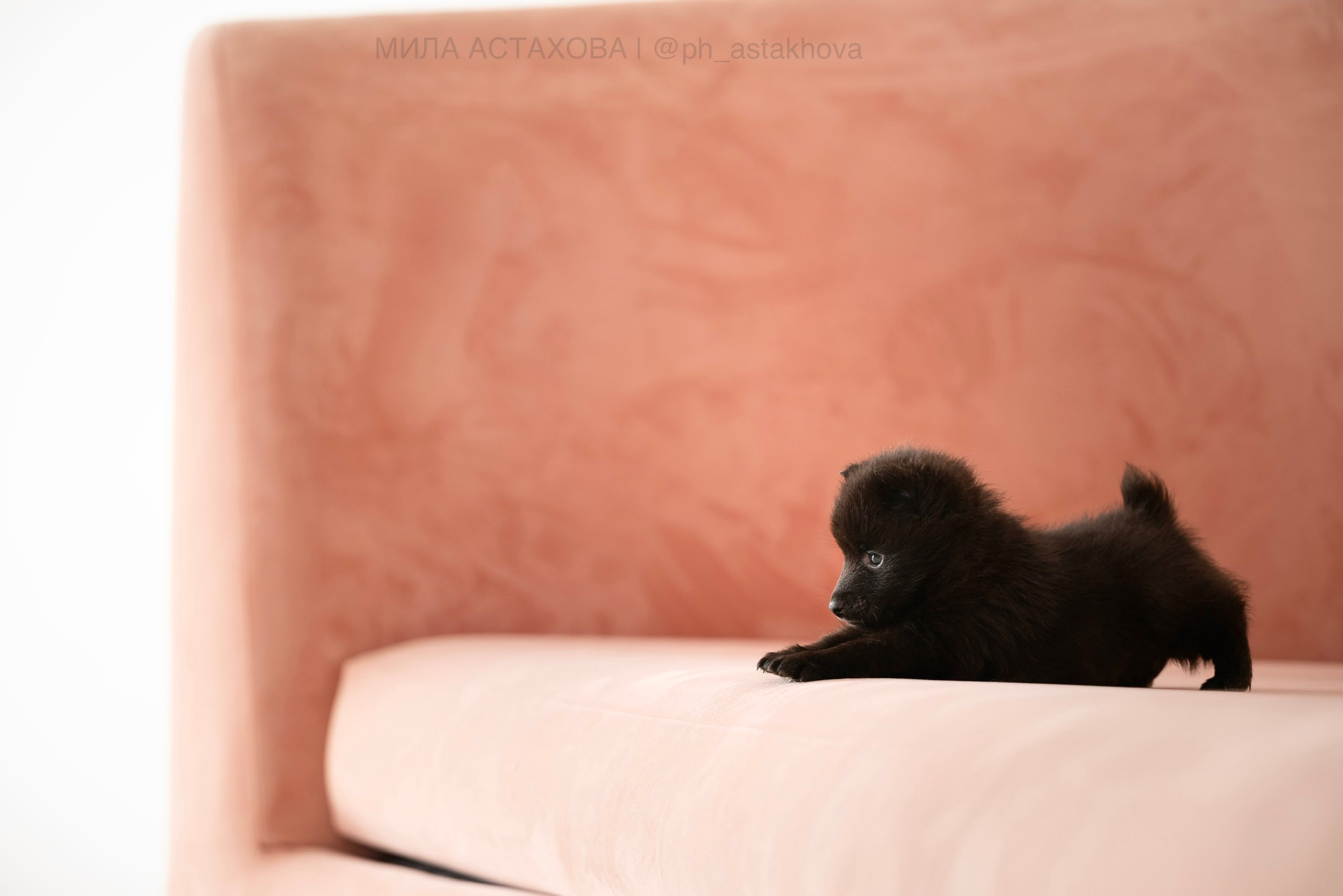 Для Анастасии. Мила Астахова