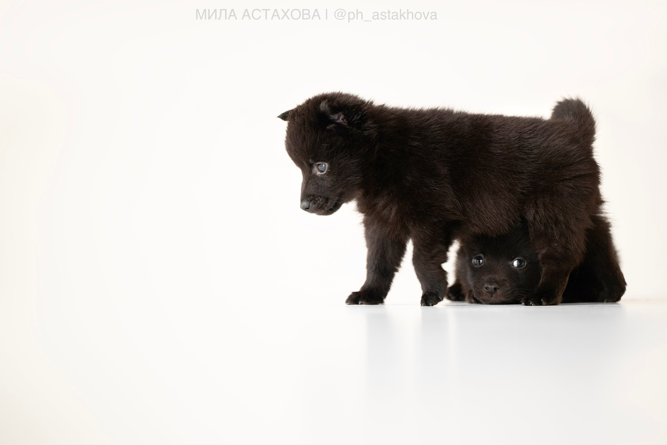 Для Анастасии. Мила Астахова