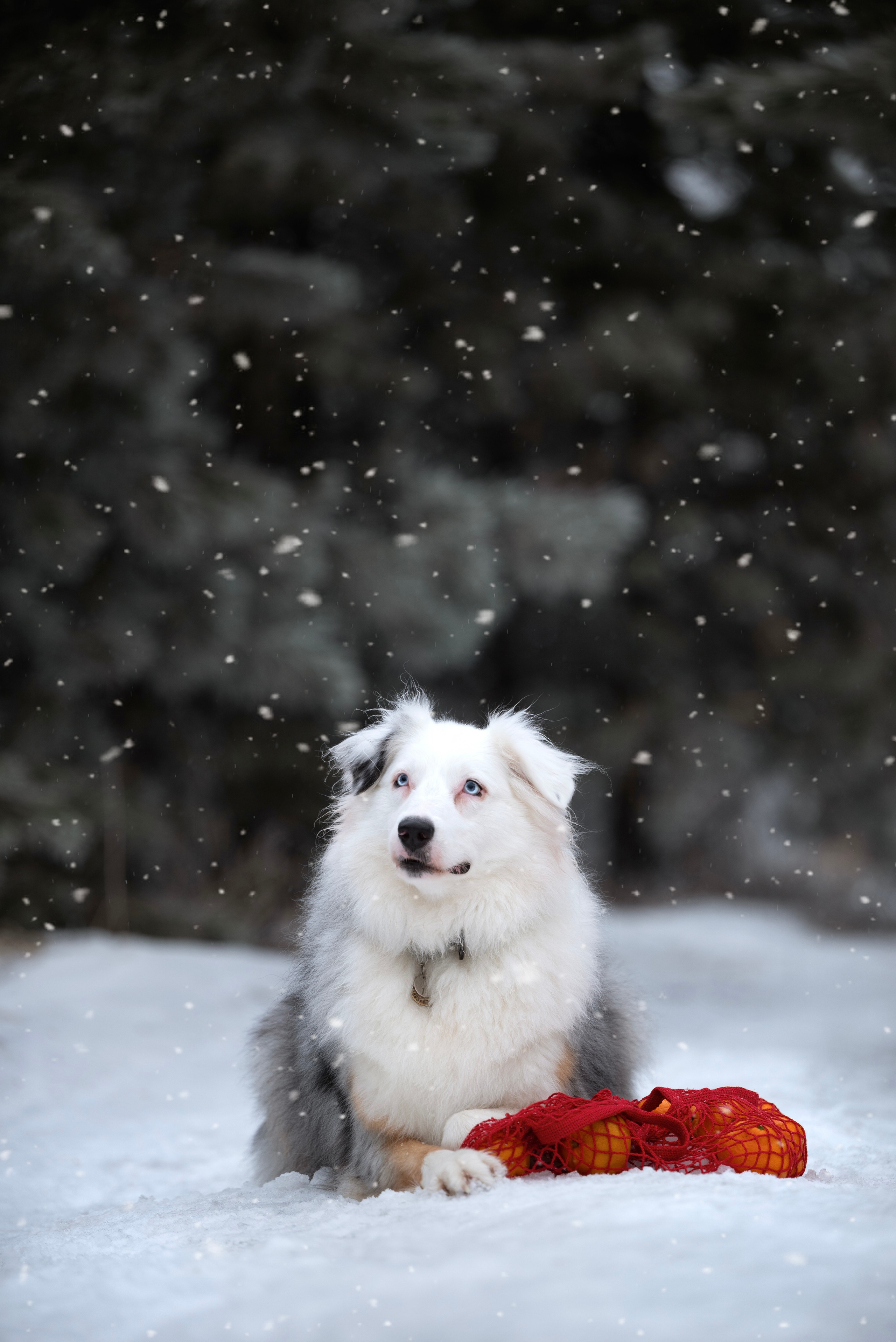 Кристина и Айви. Мила Астахова