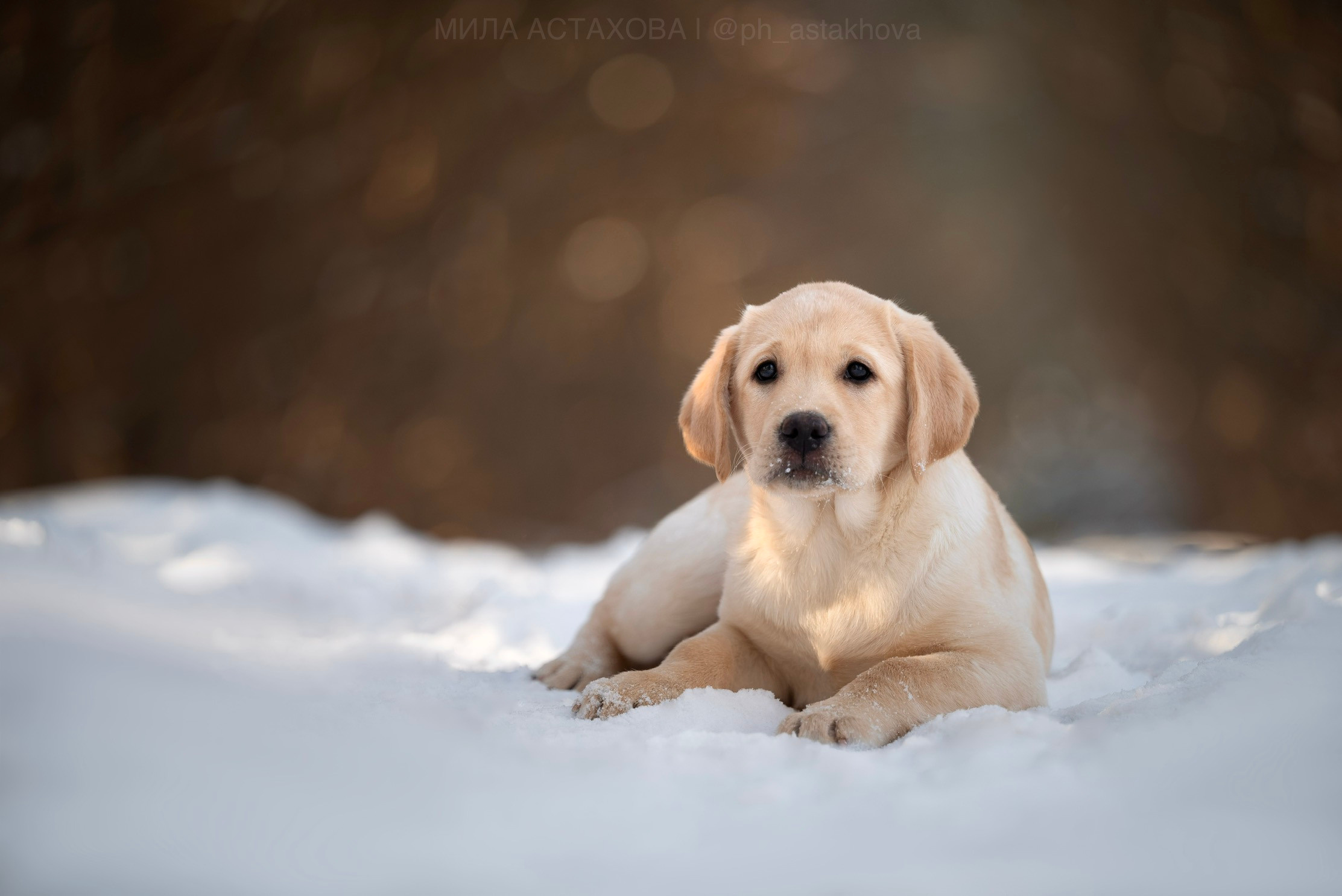 Для Ольги. Мила Астахова
