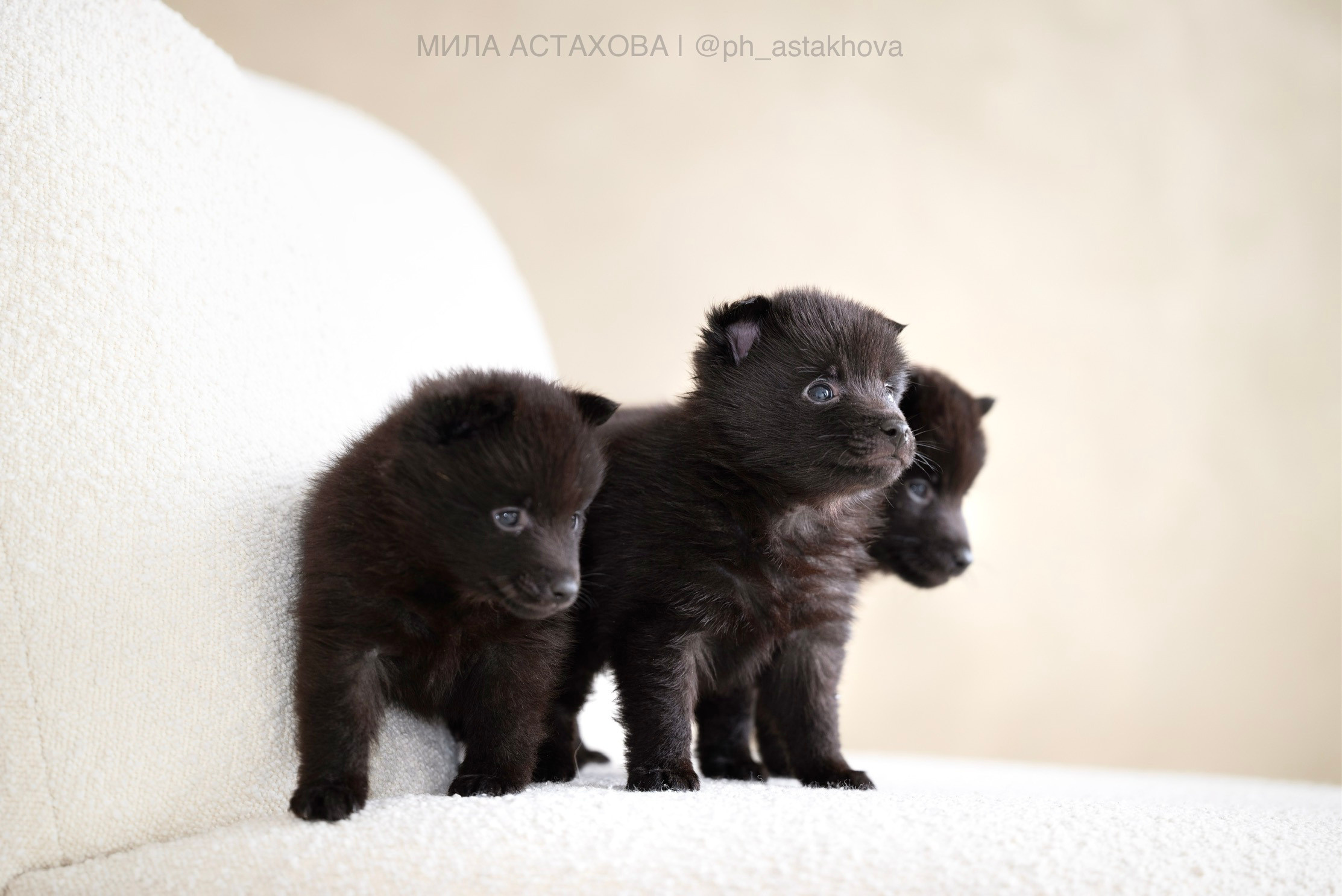 Для Анастасии. Мила Астахова