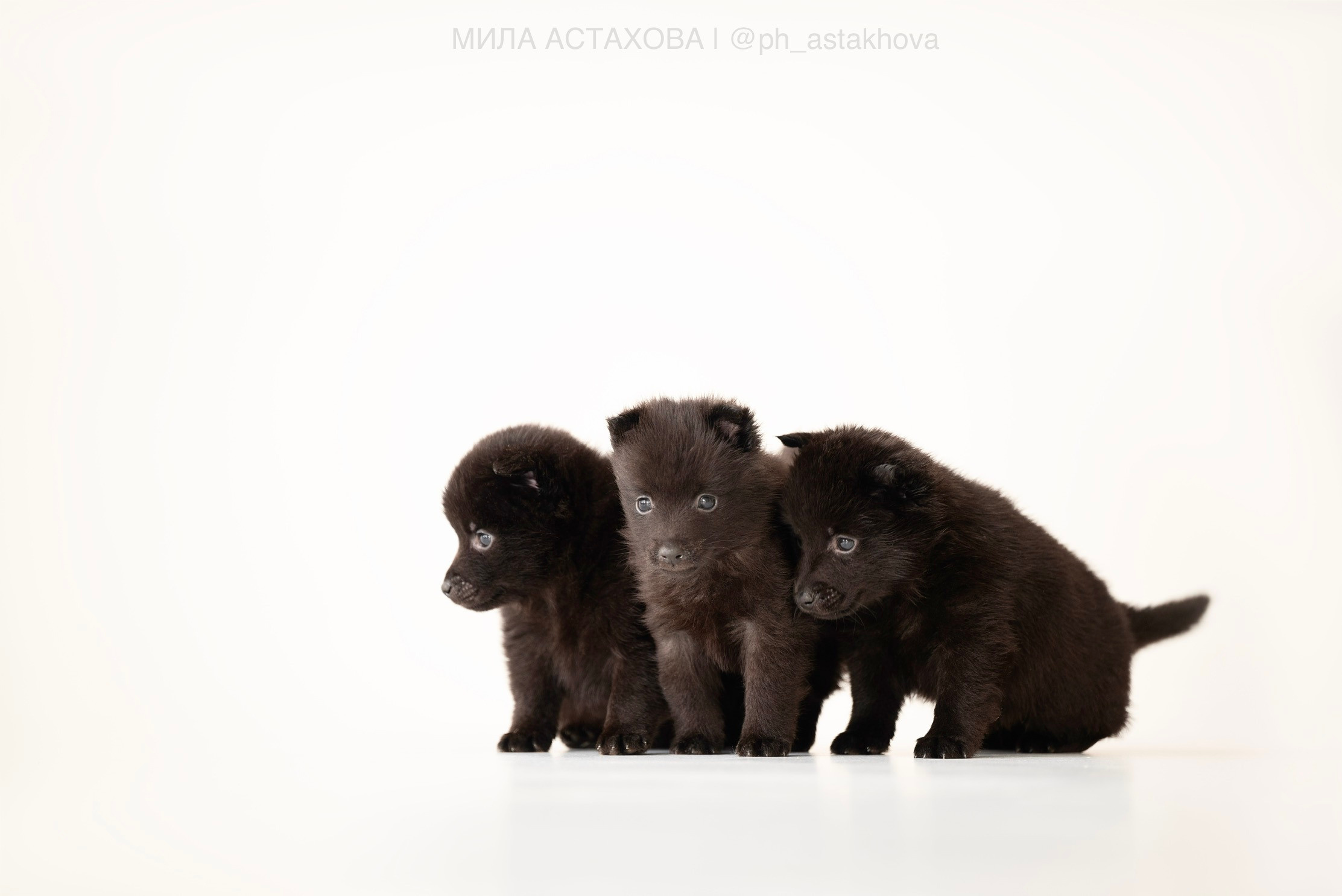 Для Анастасии. Мила Астахова