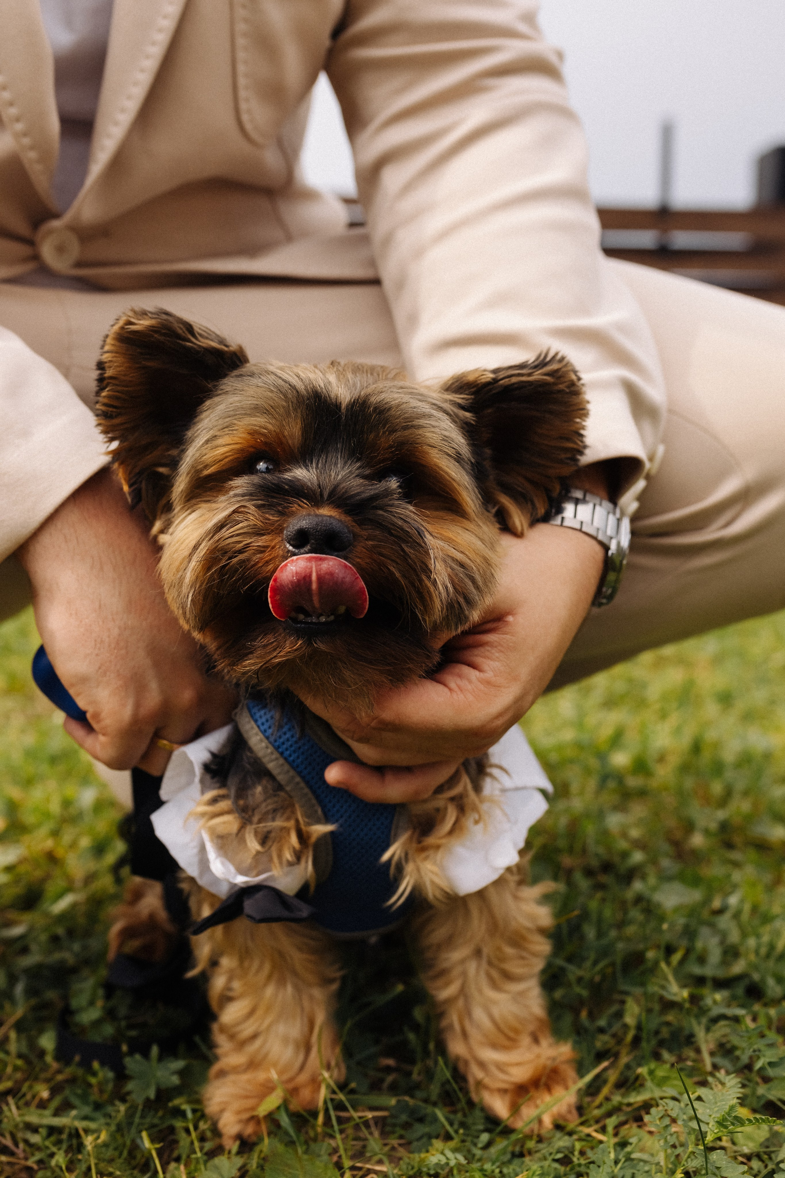 Даша и Саша. Фотограф Анастасия Бачурина Москва/ Спб