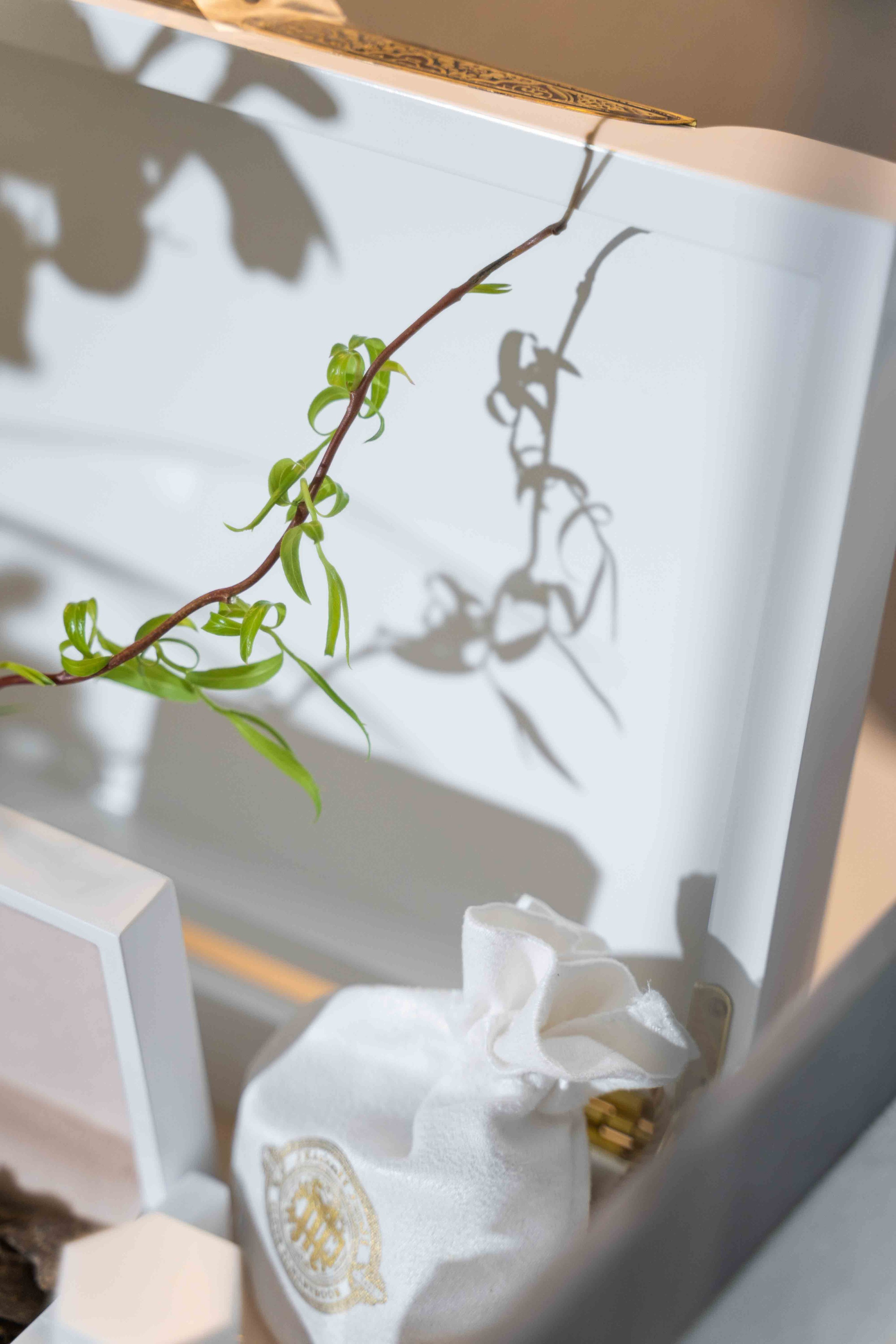 Арабская скромная помолвка дома (приватность на женские лица). Фотограф и видеограф в Москве и Абу Даби Мария Кулагина