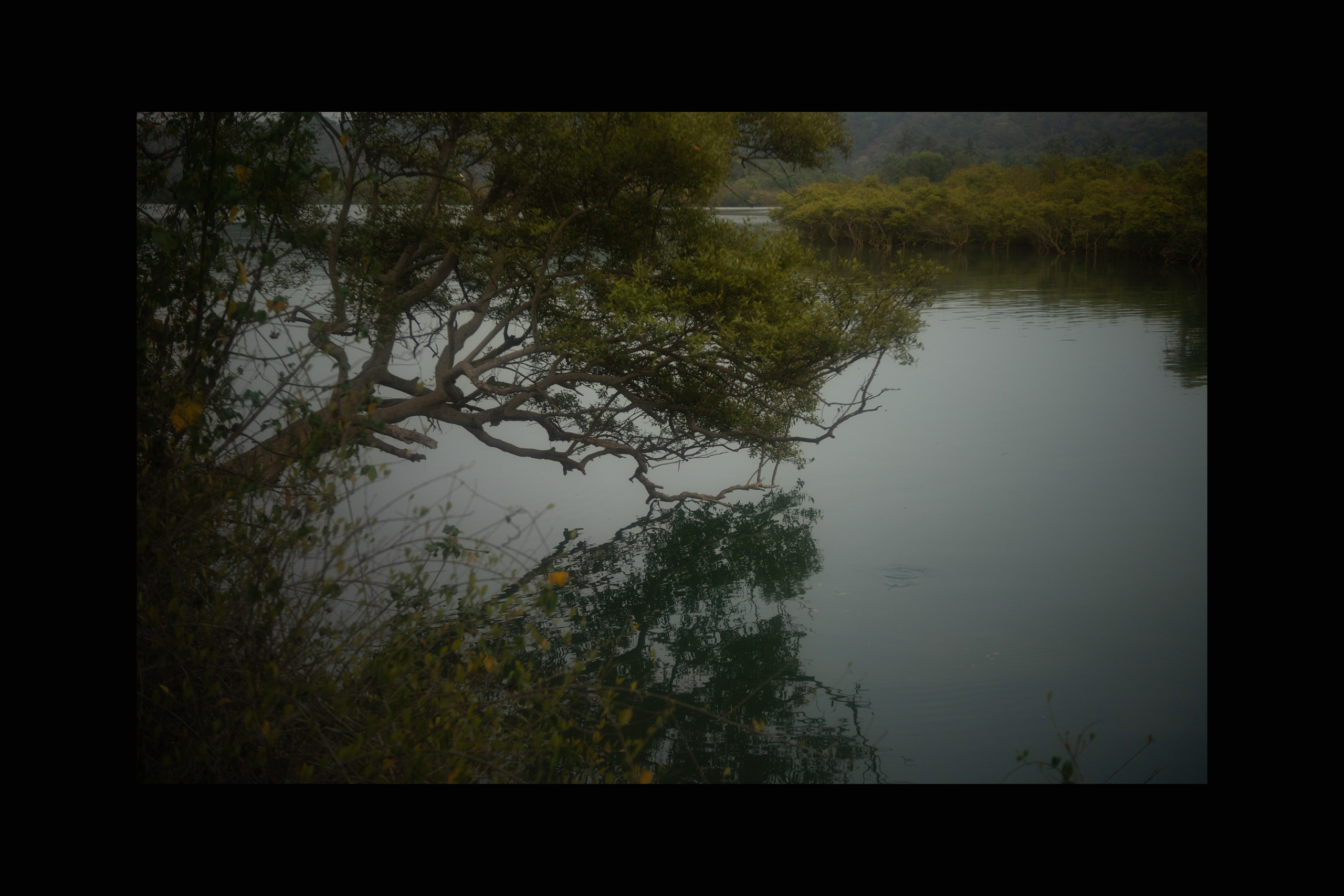 Вдохнуть небо. Сайт Фотографа MASHASOLAR