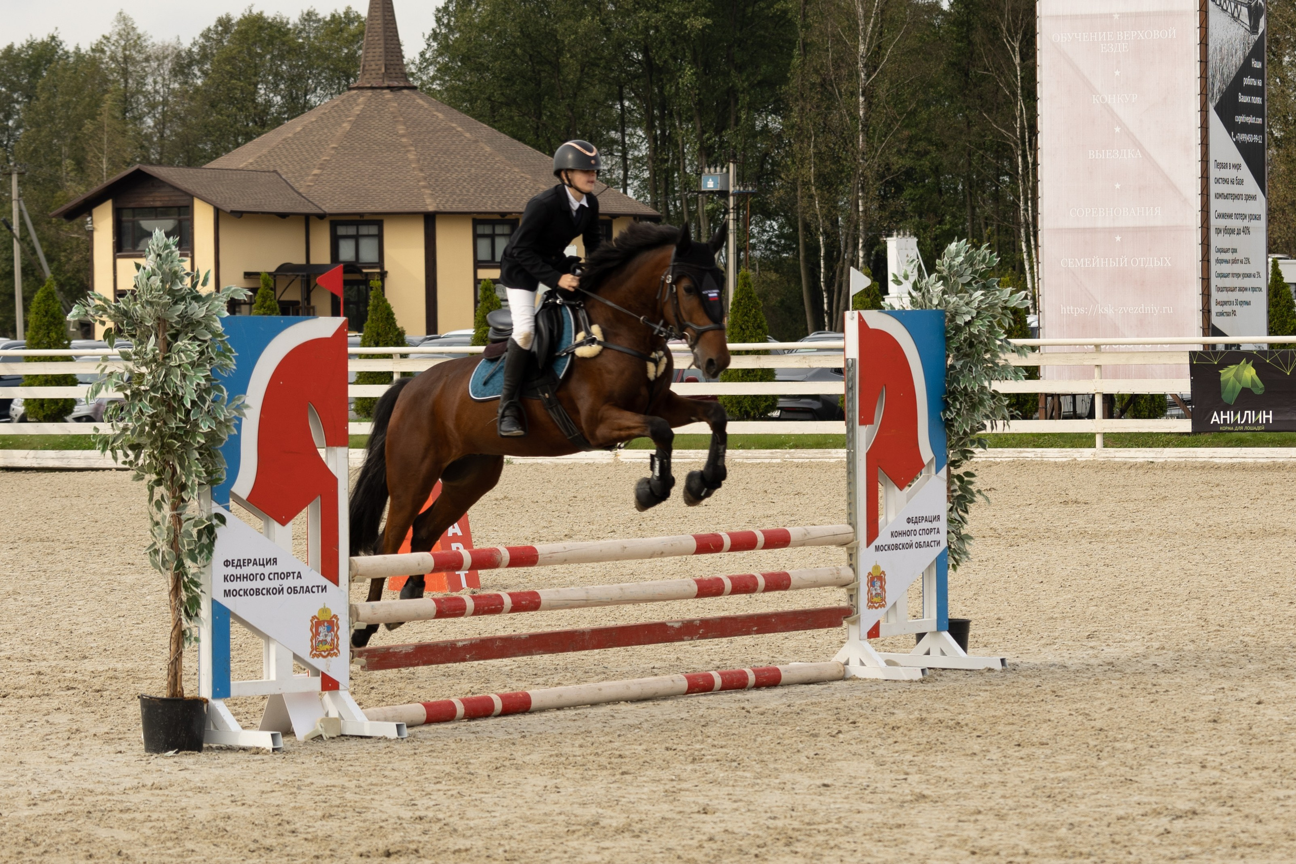 Соревнования по конкуру. Фотограф в Москве Светлана Богначева