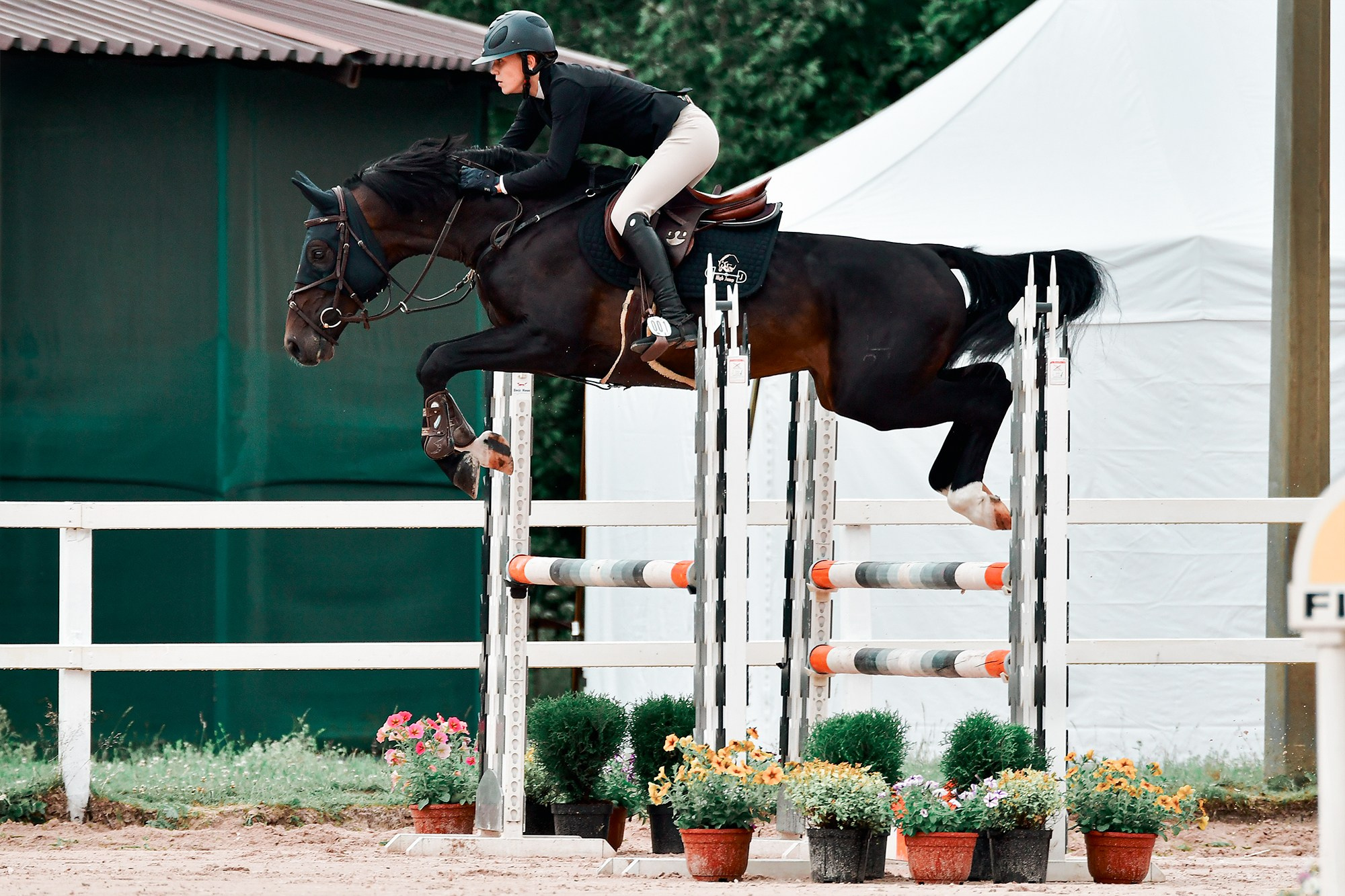 Конкур. Конный фотограф Alesya Safe