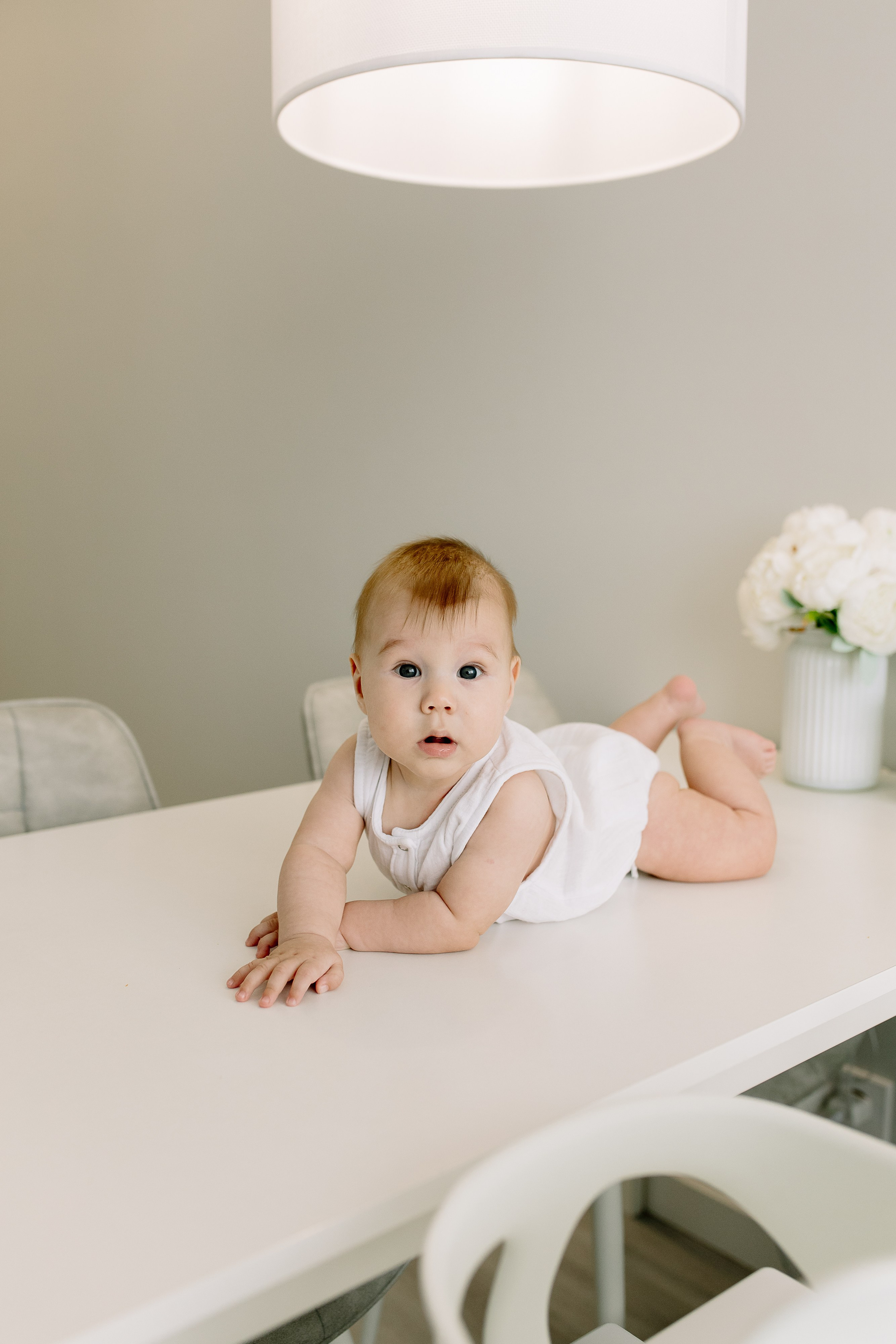 Домашняя история. Meryfotoidea