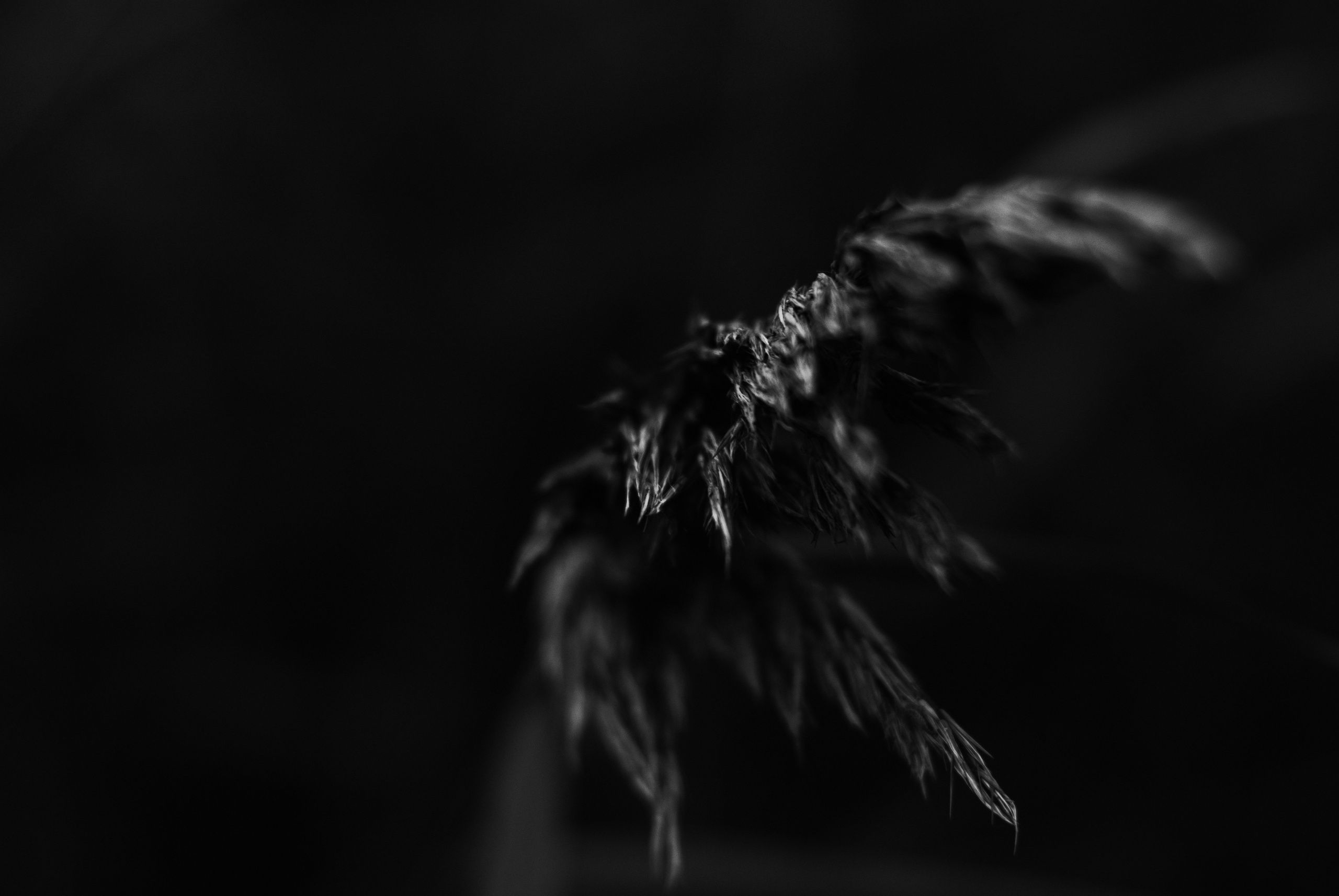 Внутривенные сны (2018-2023)