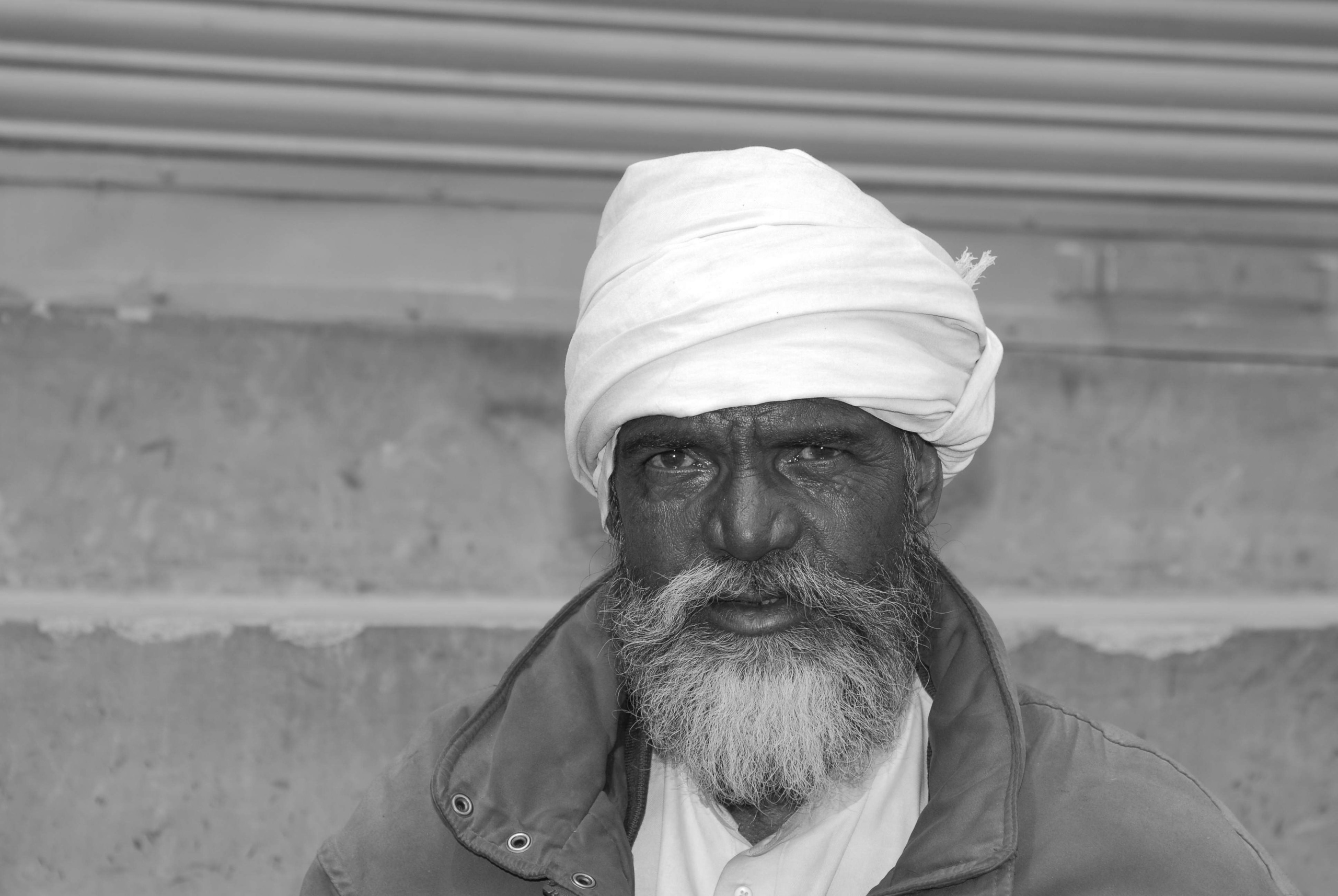 Килиманджаро. Заставка