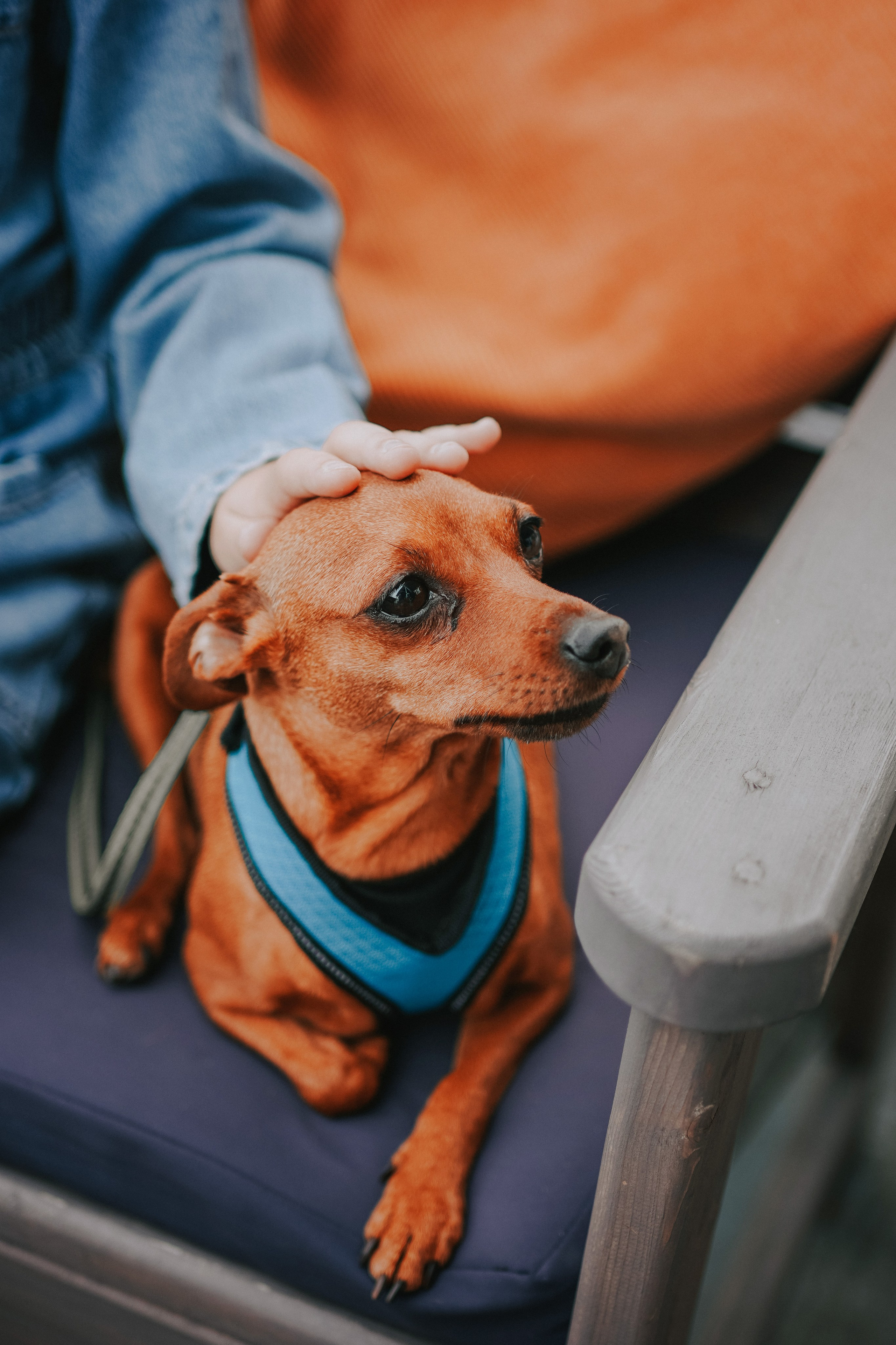 Фотосессия 3 10 2020 Клевый МЫы. Заставка