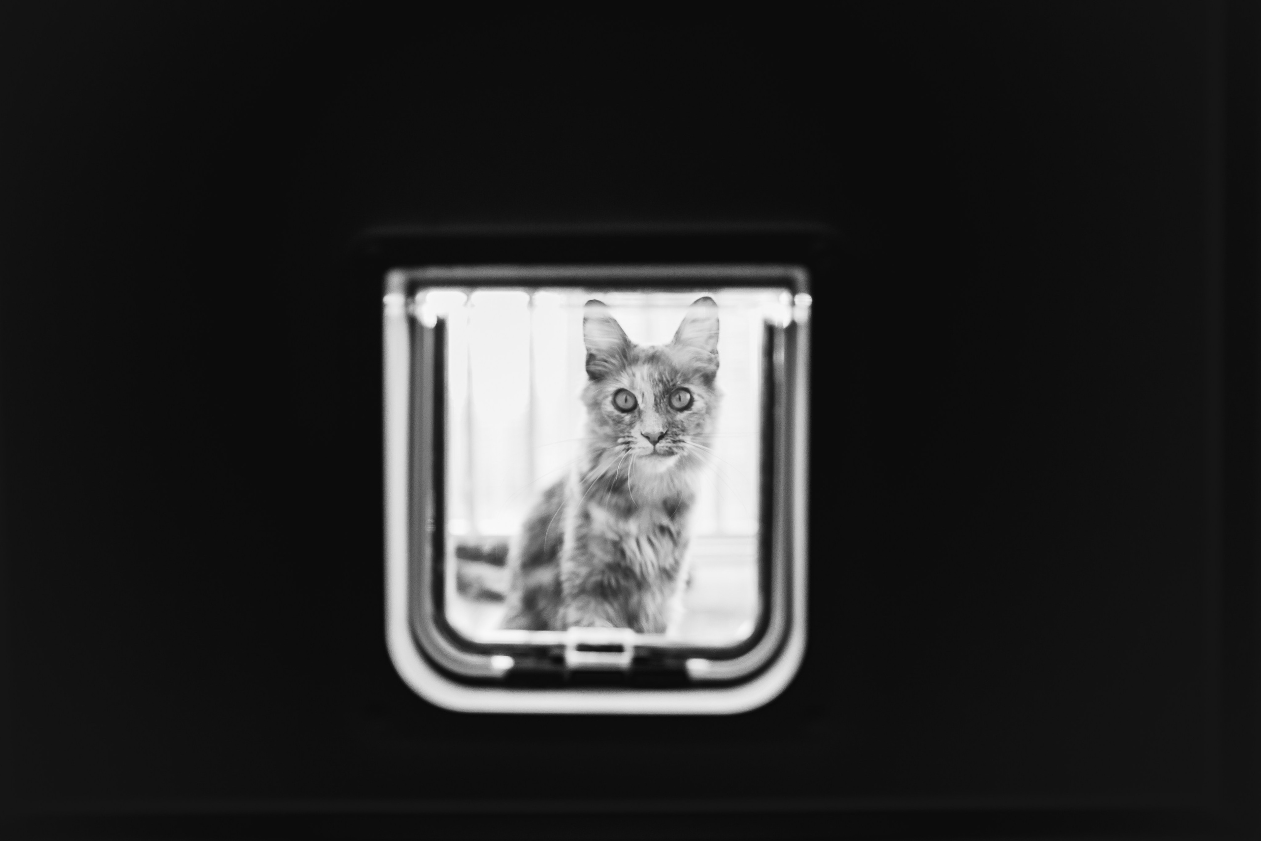 ***. Фотограф Денис Денисов