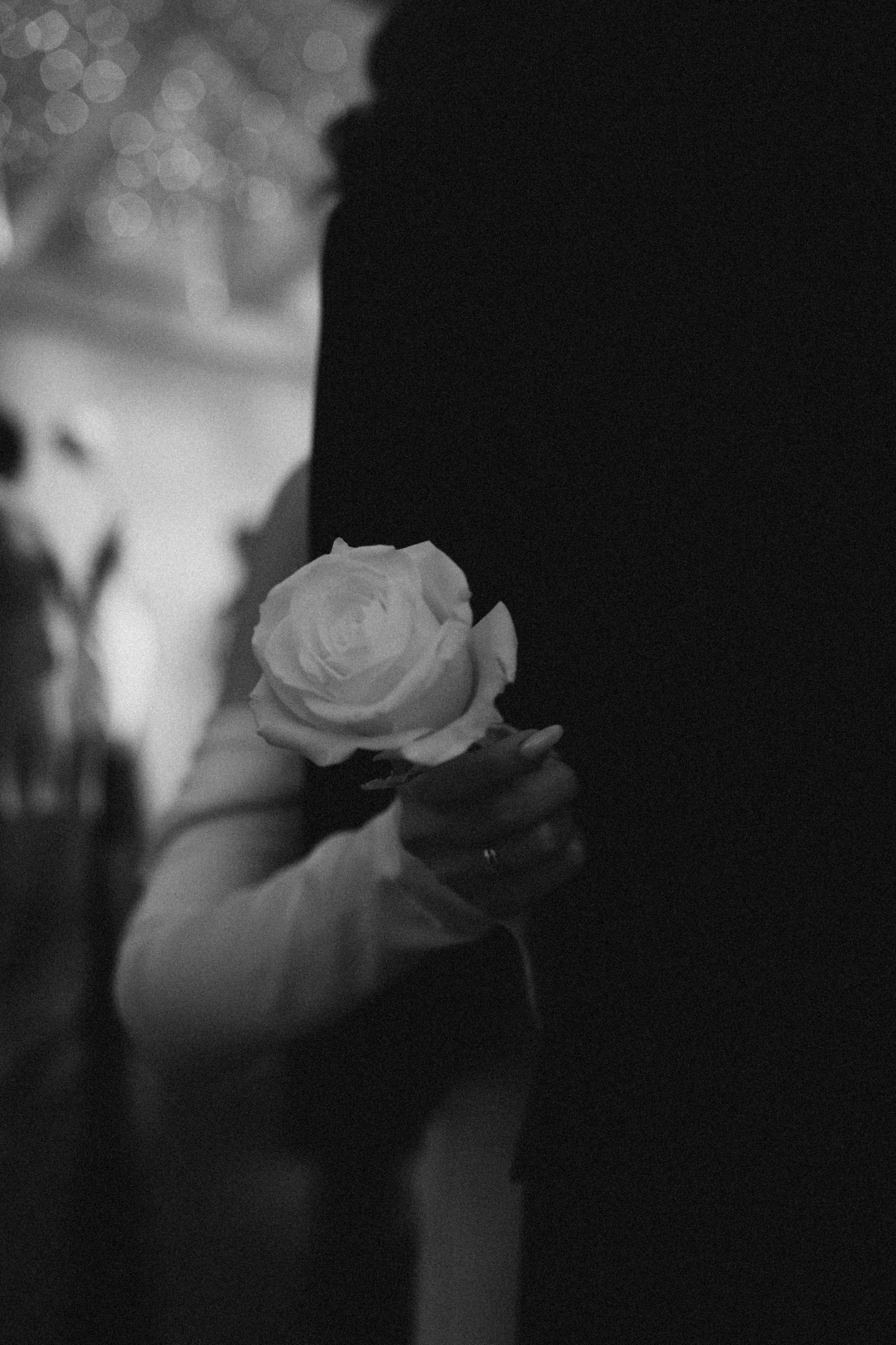 Лиза и Сергей 25.05.24. Снимаю любовь