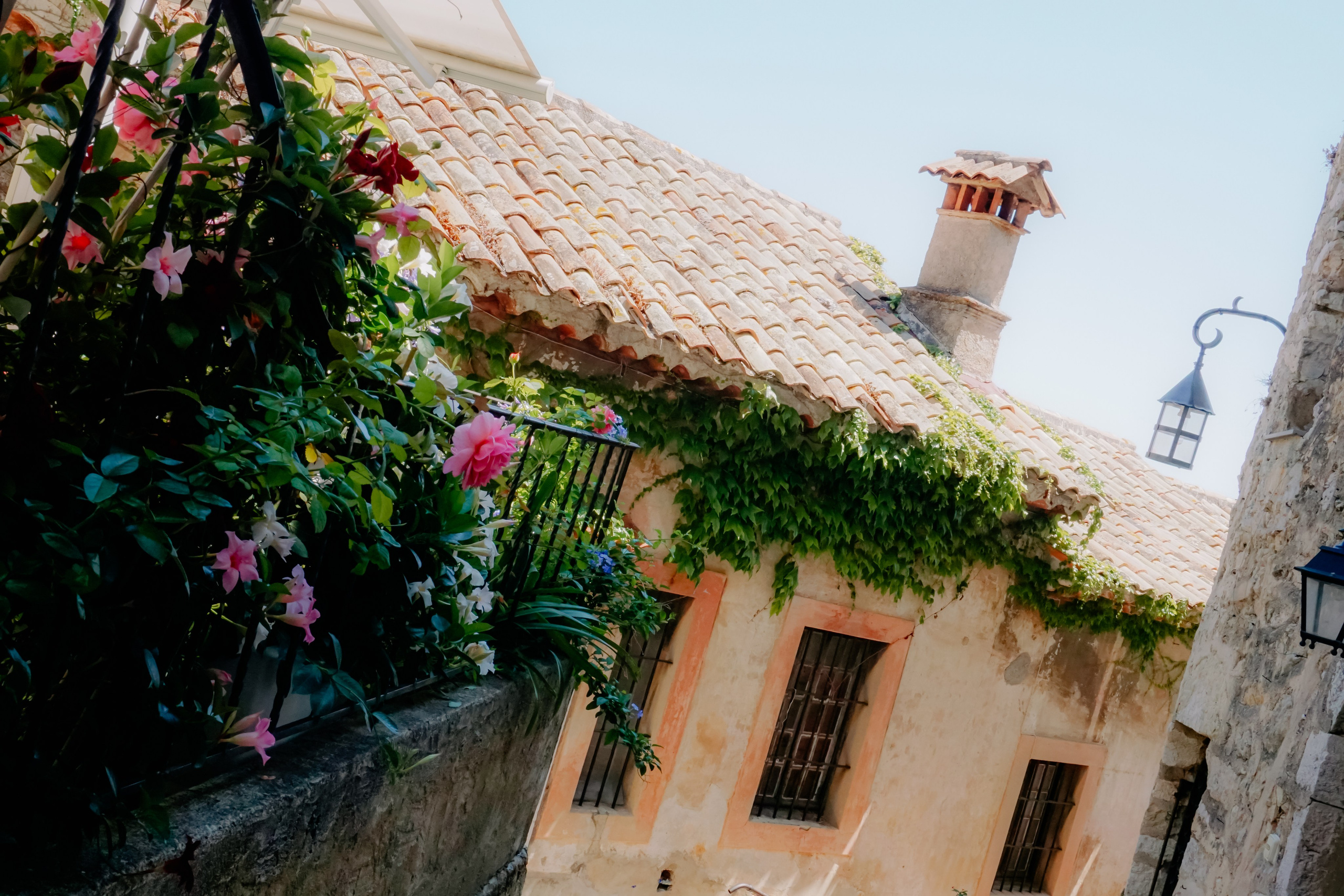 Ницца стрит. Iraogo