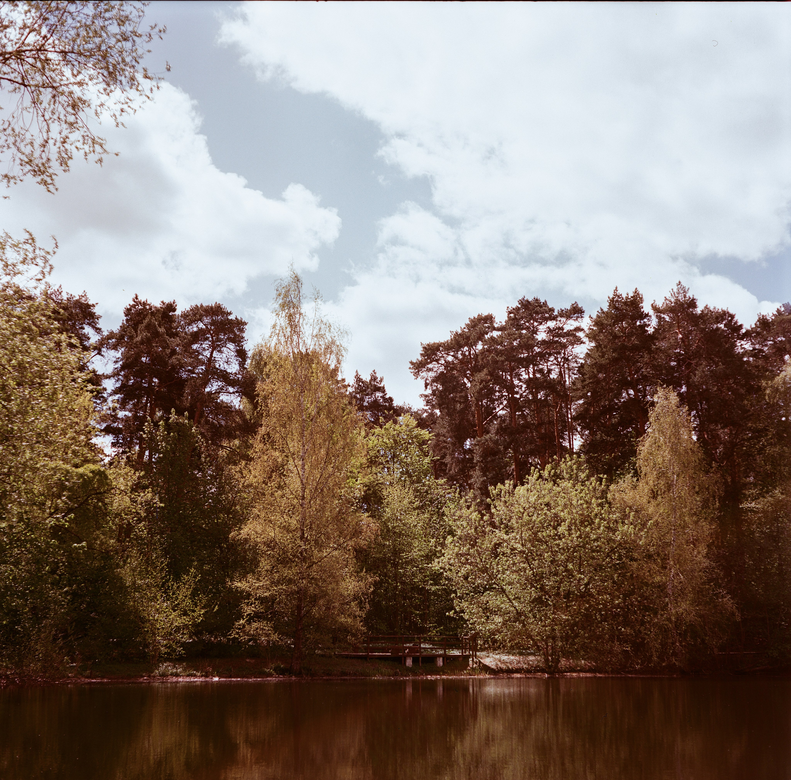 Minolta Autocord | Aeronega ISO 100 (Aerocolor IV) | май 2025 года СерБор