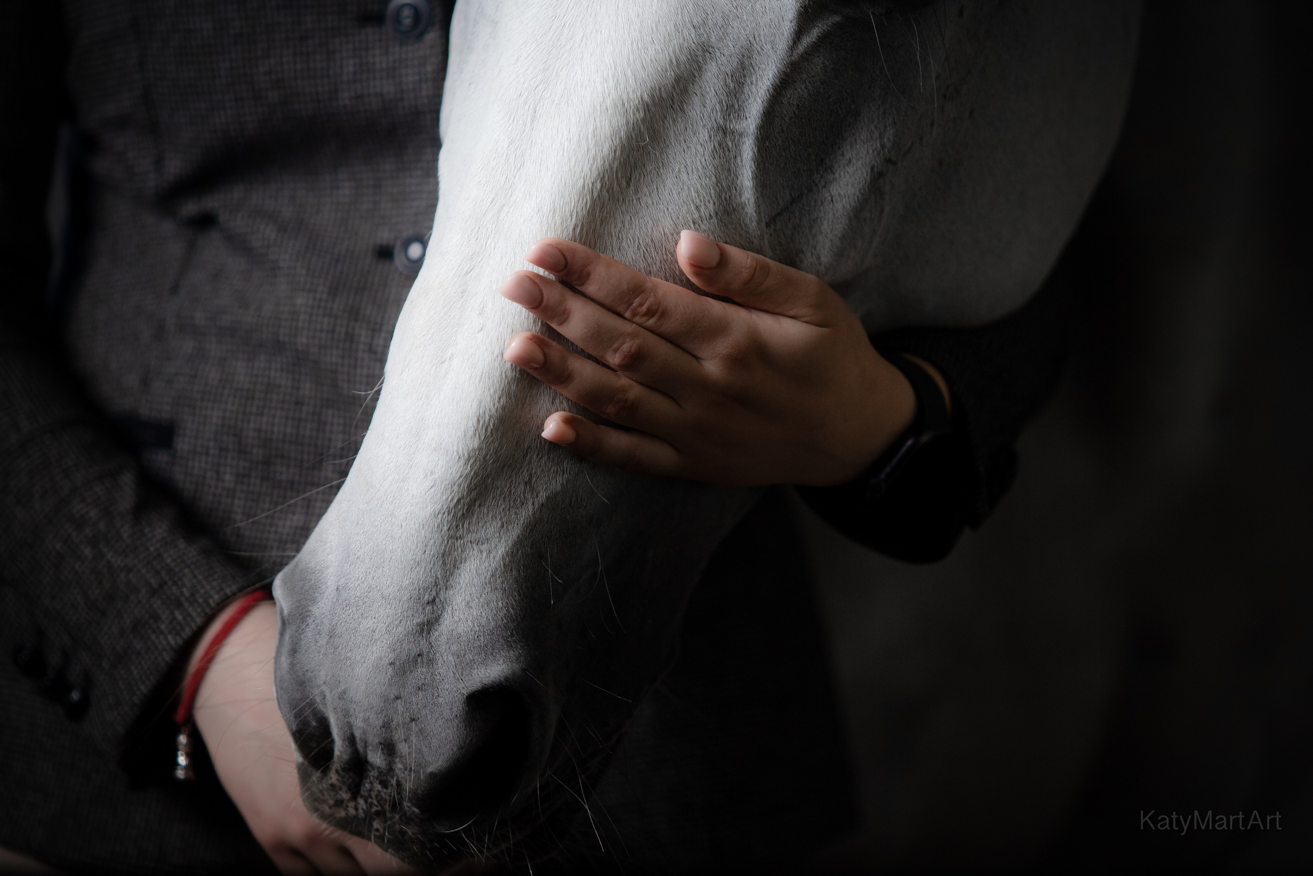 Вместе. KatymartArt — Equine photography