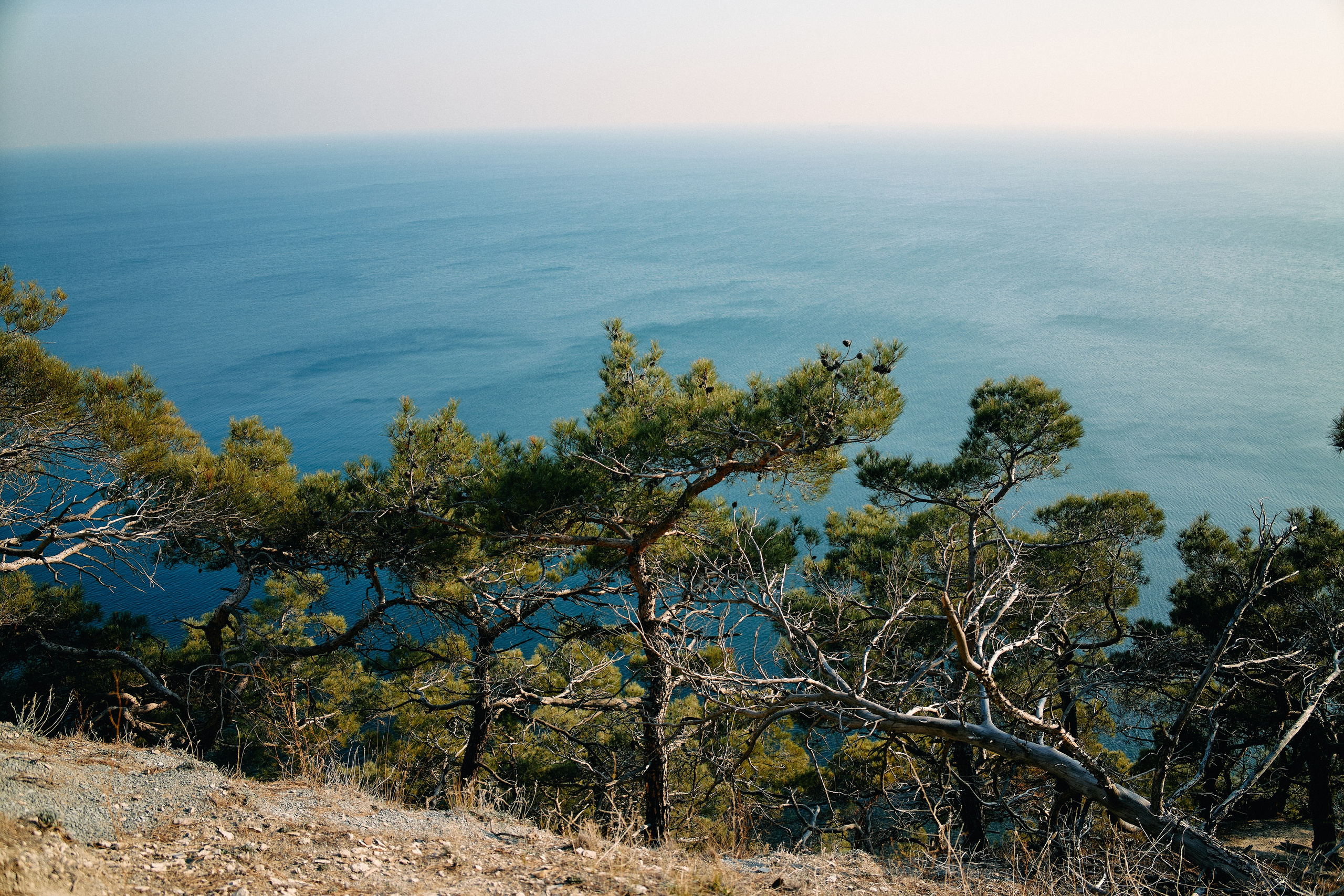 Юг России. Профессиональный Фотограф во Владимире, в Москве и в Суздале — Полина Романычева