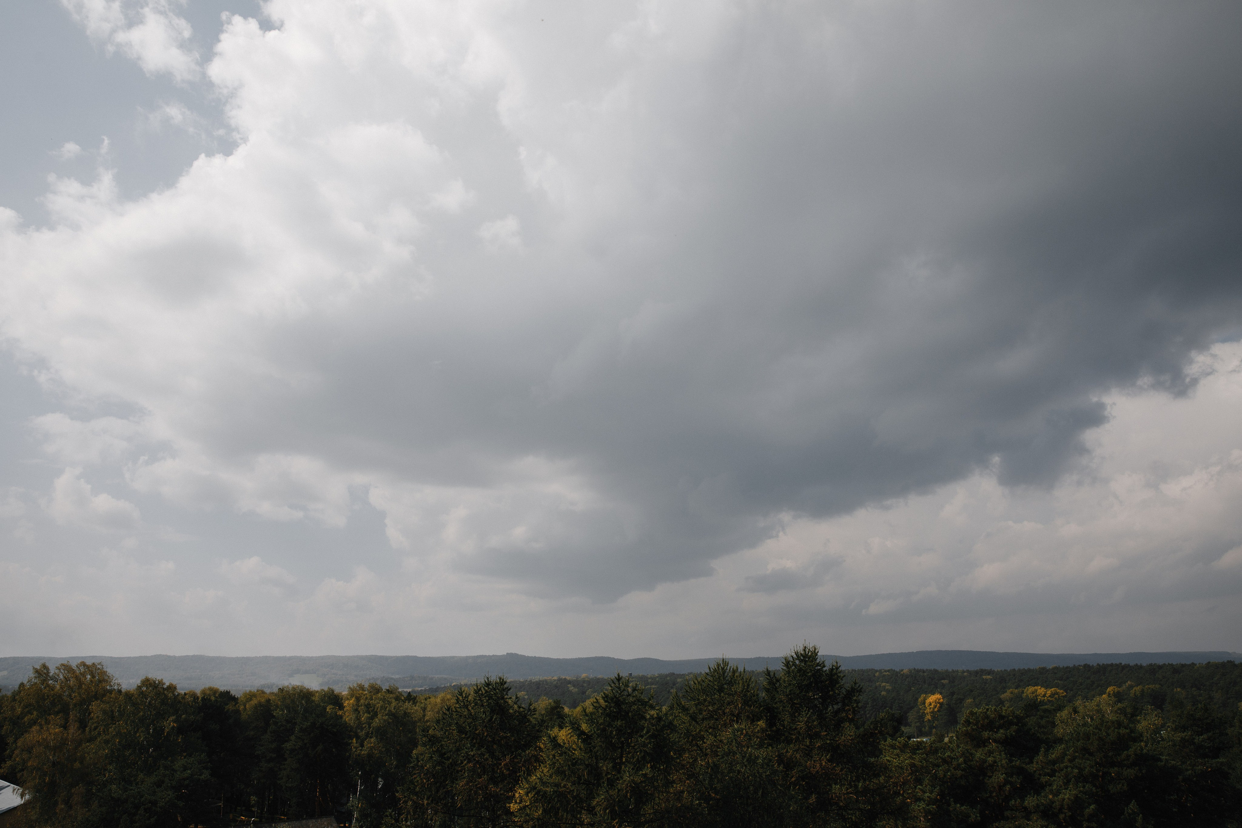Свадьба Александра и Софьи. Свадебный и репортажный фотограф в Новокузнецке Вьюхин Александр