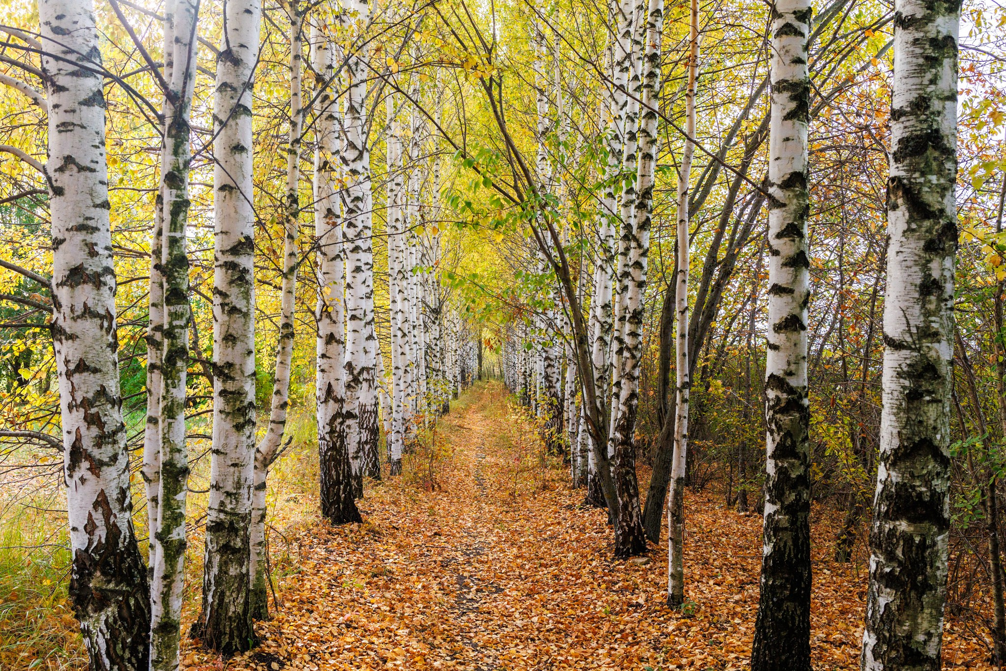 Краснооктябрьский район, 03.10.25