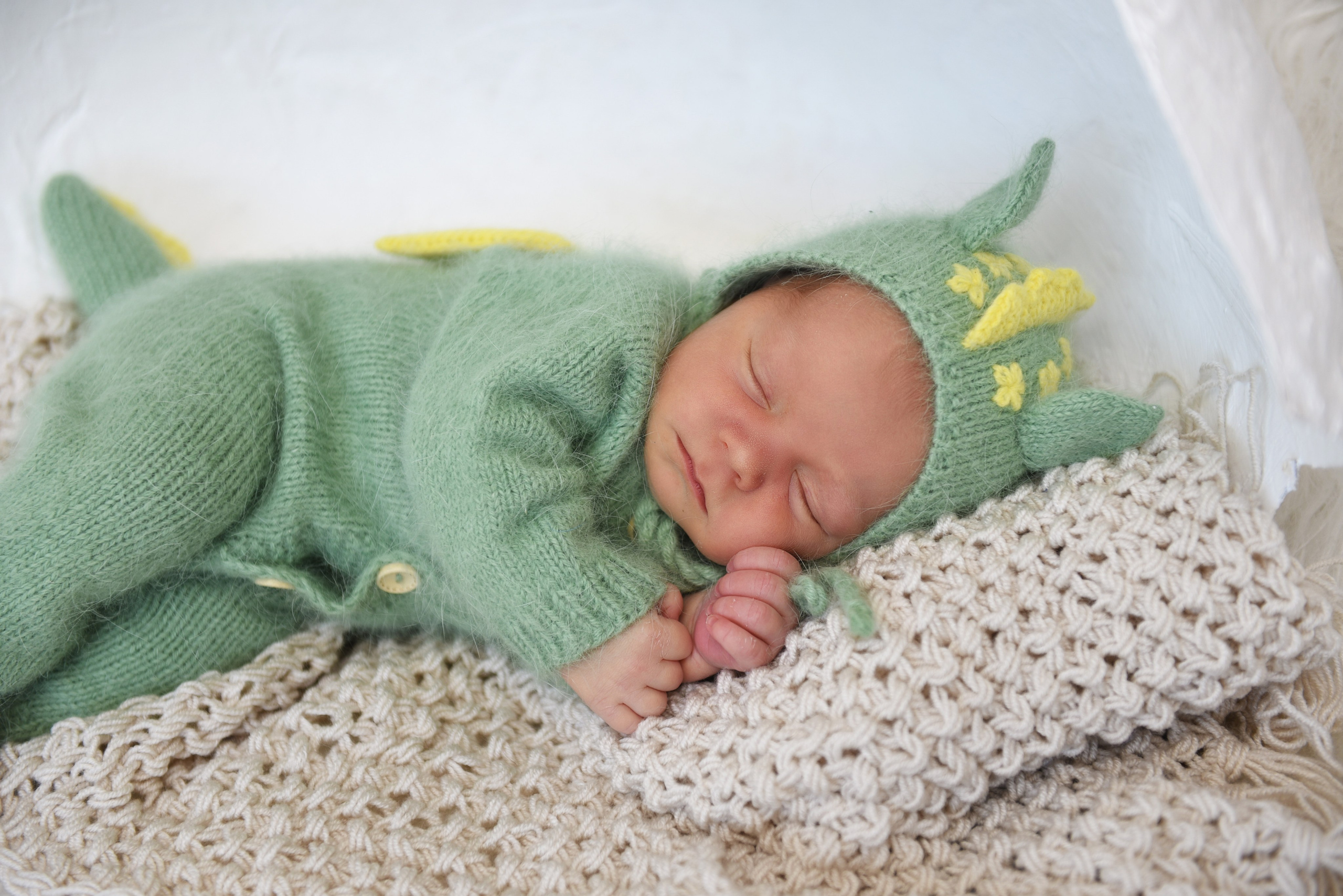 Артем-динозаврик. Семейный, детский и школьный фотограф в Димитровграде Наумова Екатерина