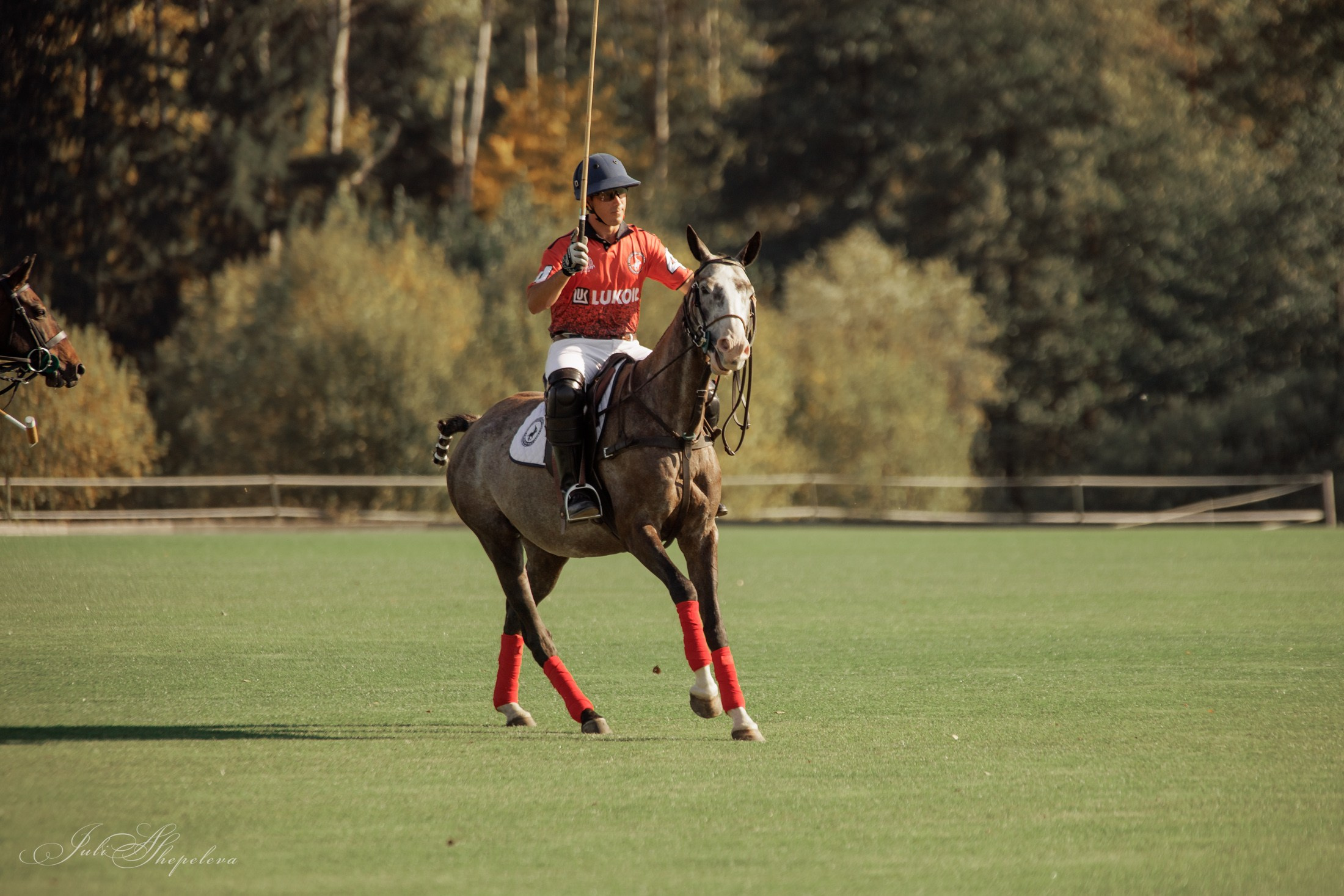Осенний кубок по конному поло. Детская Конная фотография в Москве Юлия Шепелева