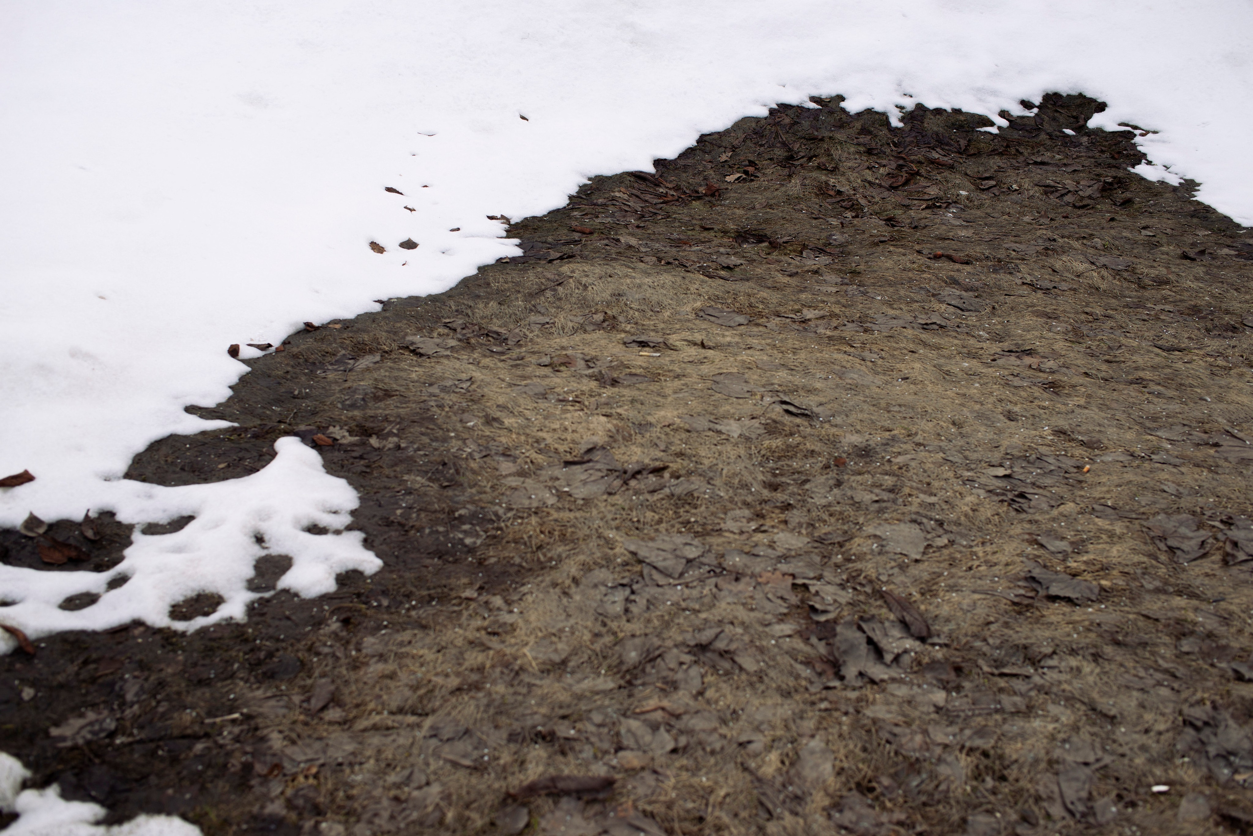 Разное неважное. Фотограф в Москве Алейникова Евгения
