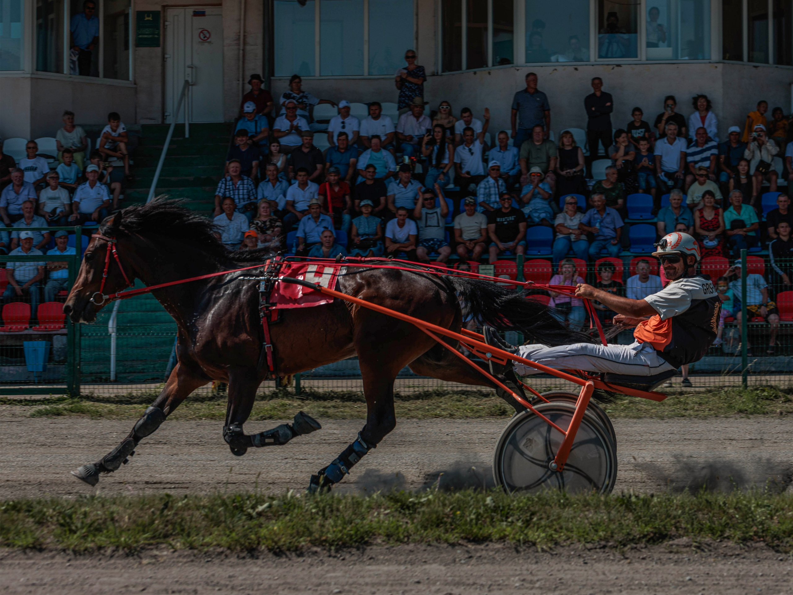 Зарисовки Абаканский ипподром 2025. Конный фотограф в Красноярске — Любовь Похабова