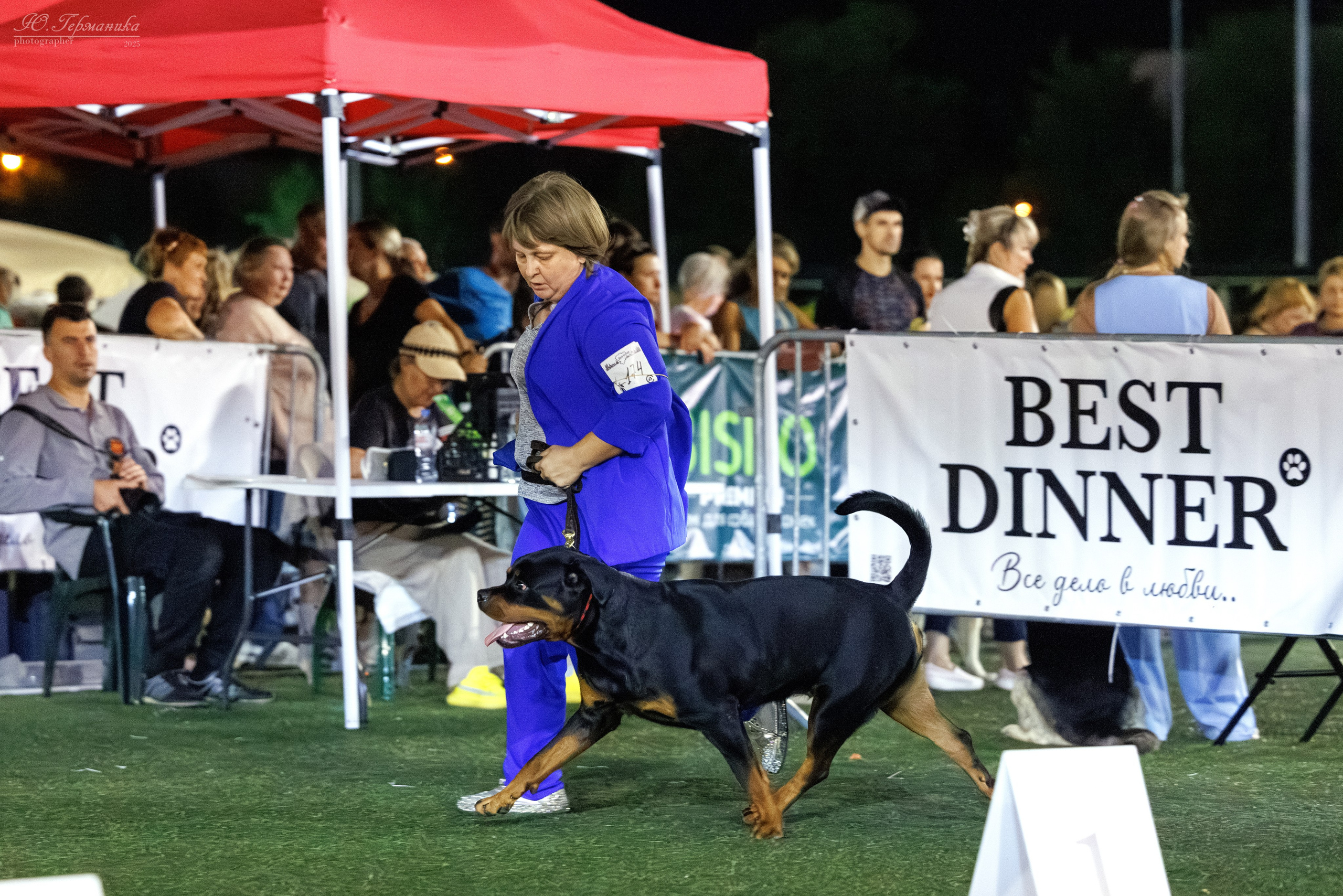 Калининград 25-27.07 Волгоград 1-3.08 2025. Фотограф-анималист Юлия Германика