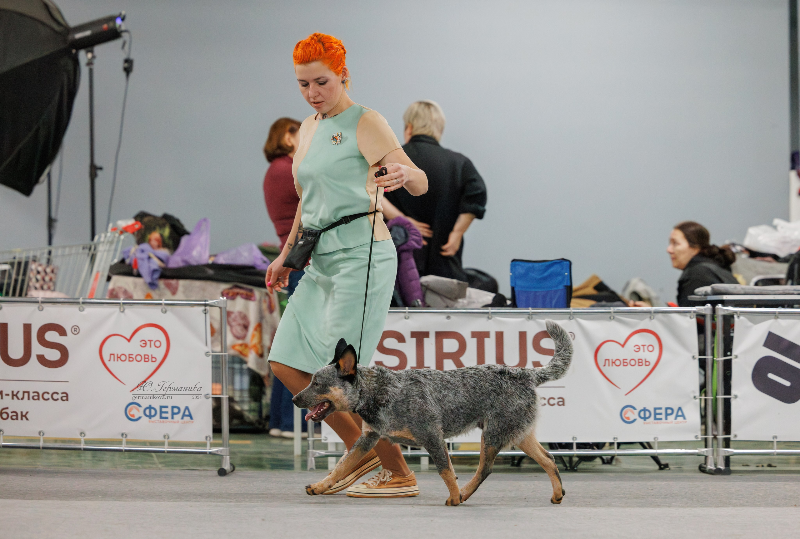 Сфера и Крокус 8,9,16 и 30.03.2025. Фотограф-анималист Юлия Германика