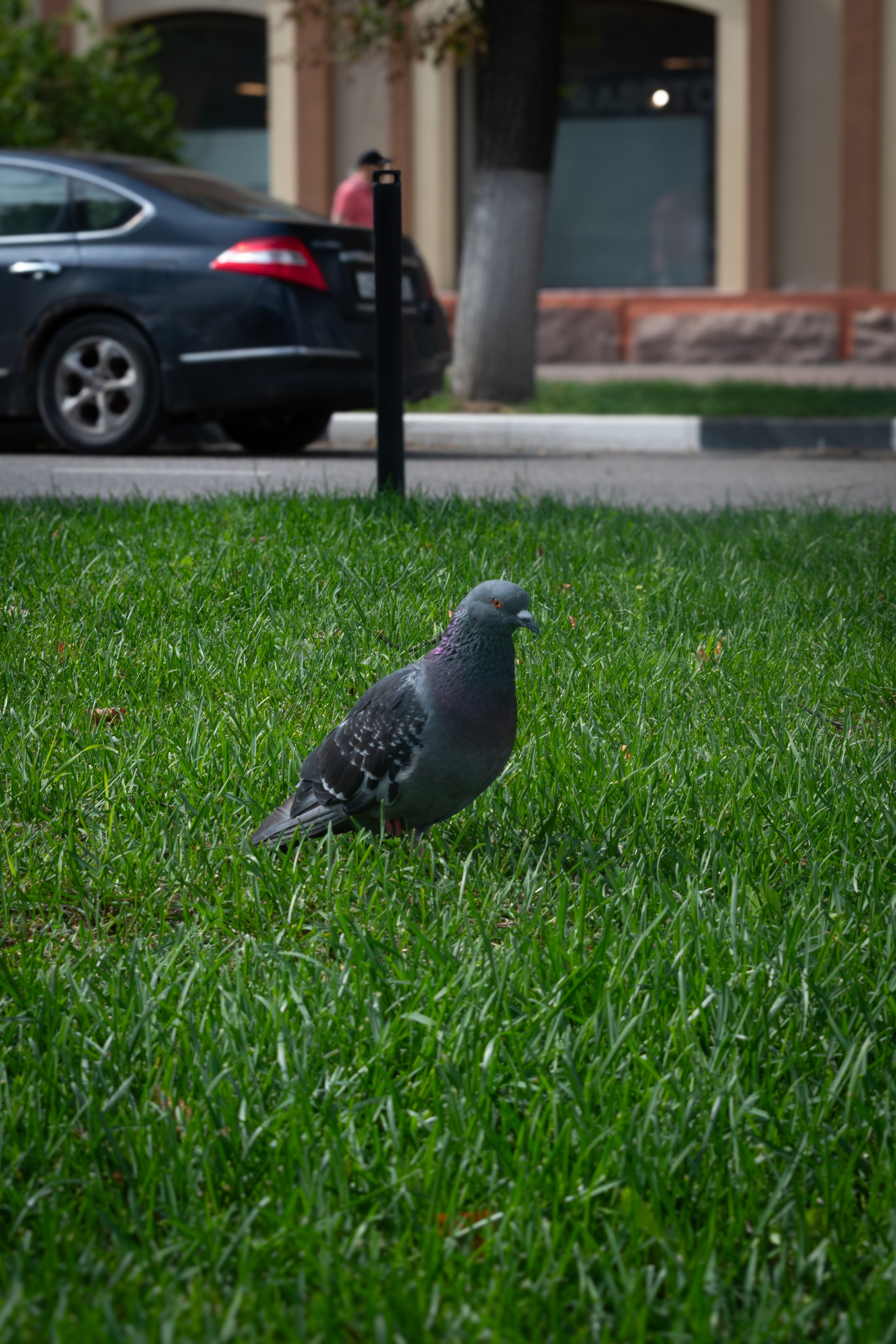 «Леди на велосипеде» — велопробег по г. Жуковскому 2025. Репортажный фотограф Сыбер Мартти