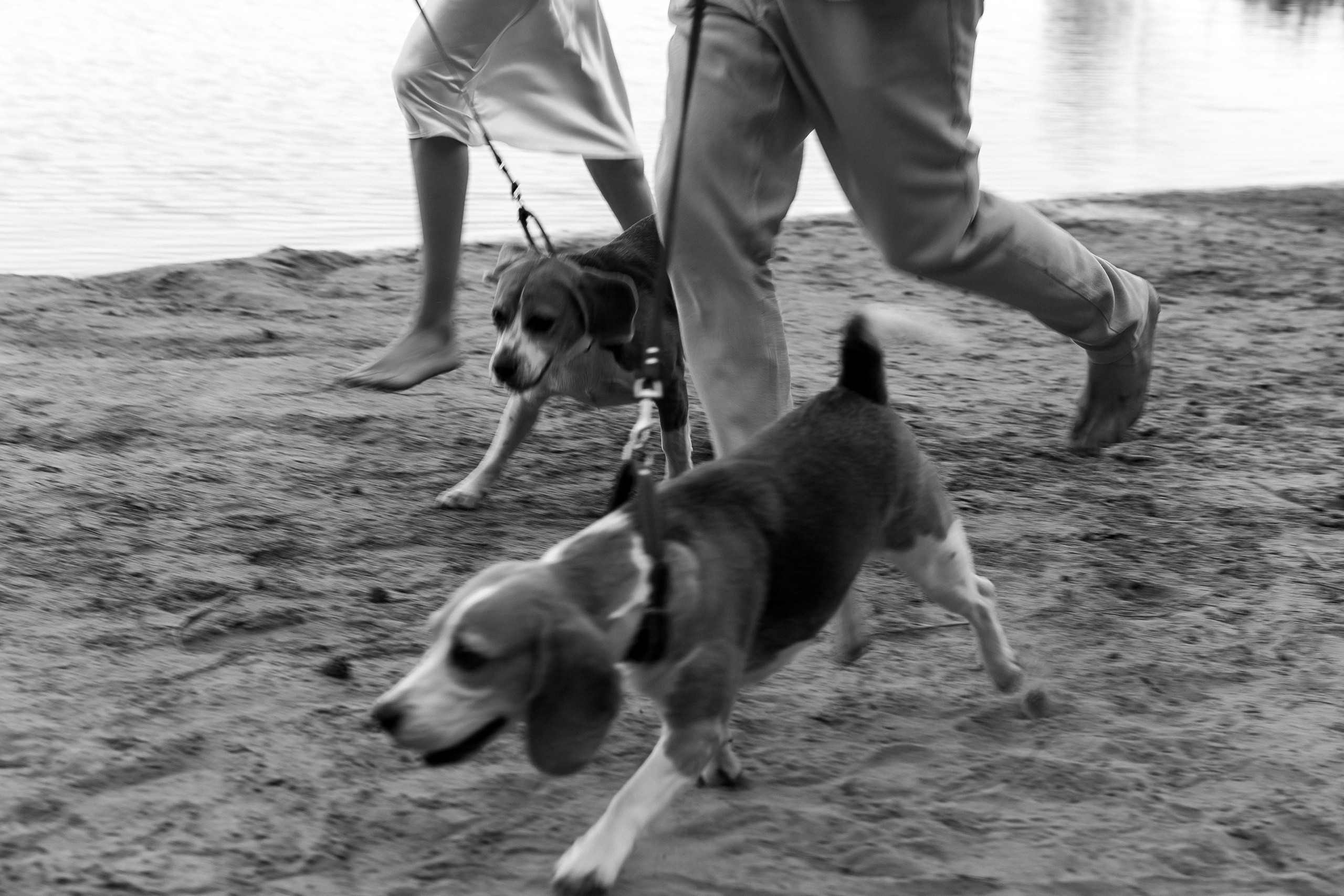 Фотосессия в карьере. Свадебный фотограф в Москве Элина Ларченкова. Фото, которые цепляют