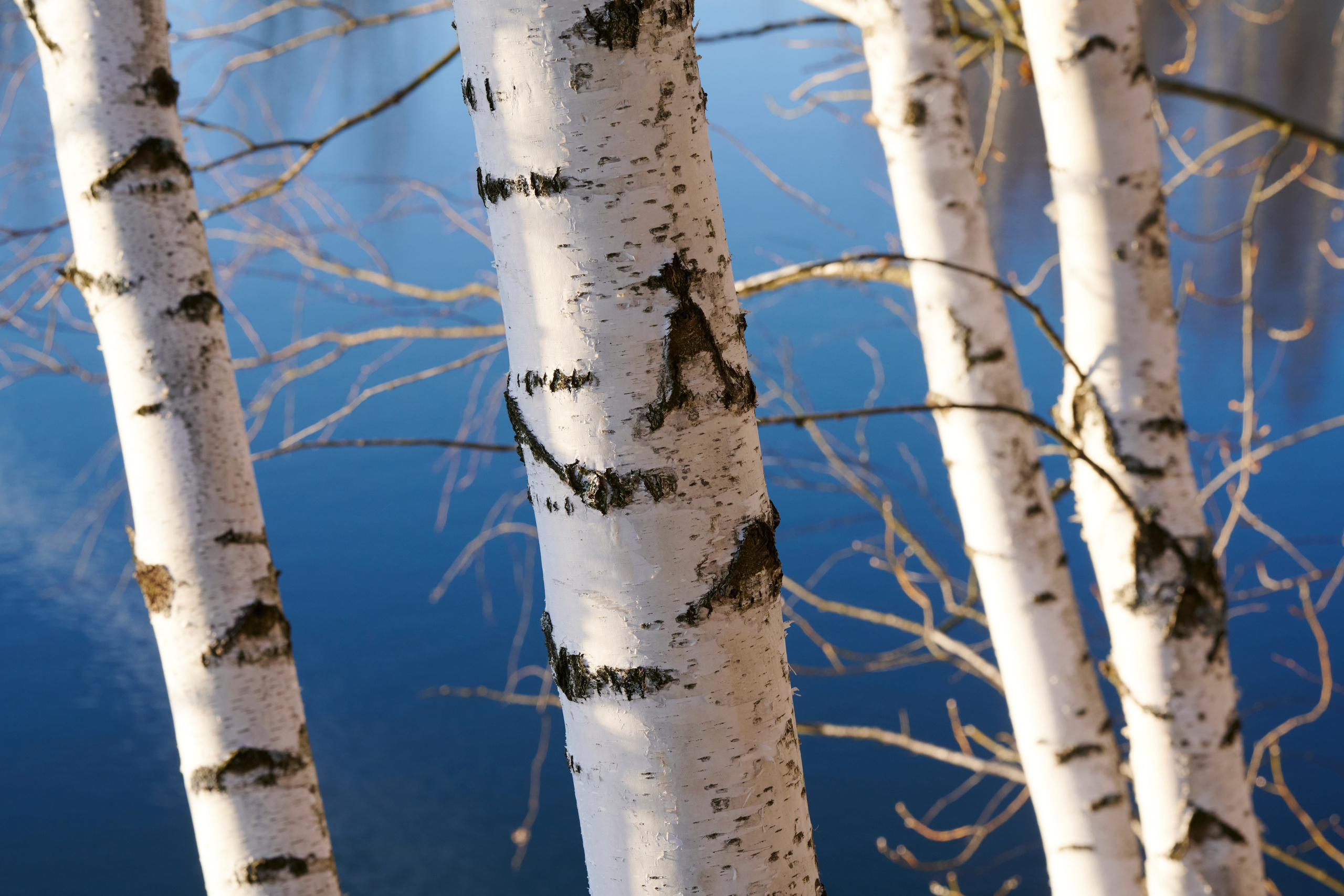 Глэмпинг «Аномалия» — фотосъёмка для сайта и бронирований | Свободный Продакшн. Интерьерный и архитектурный фотограф Москва и МО. Свободный Роман
