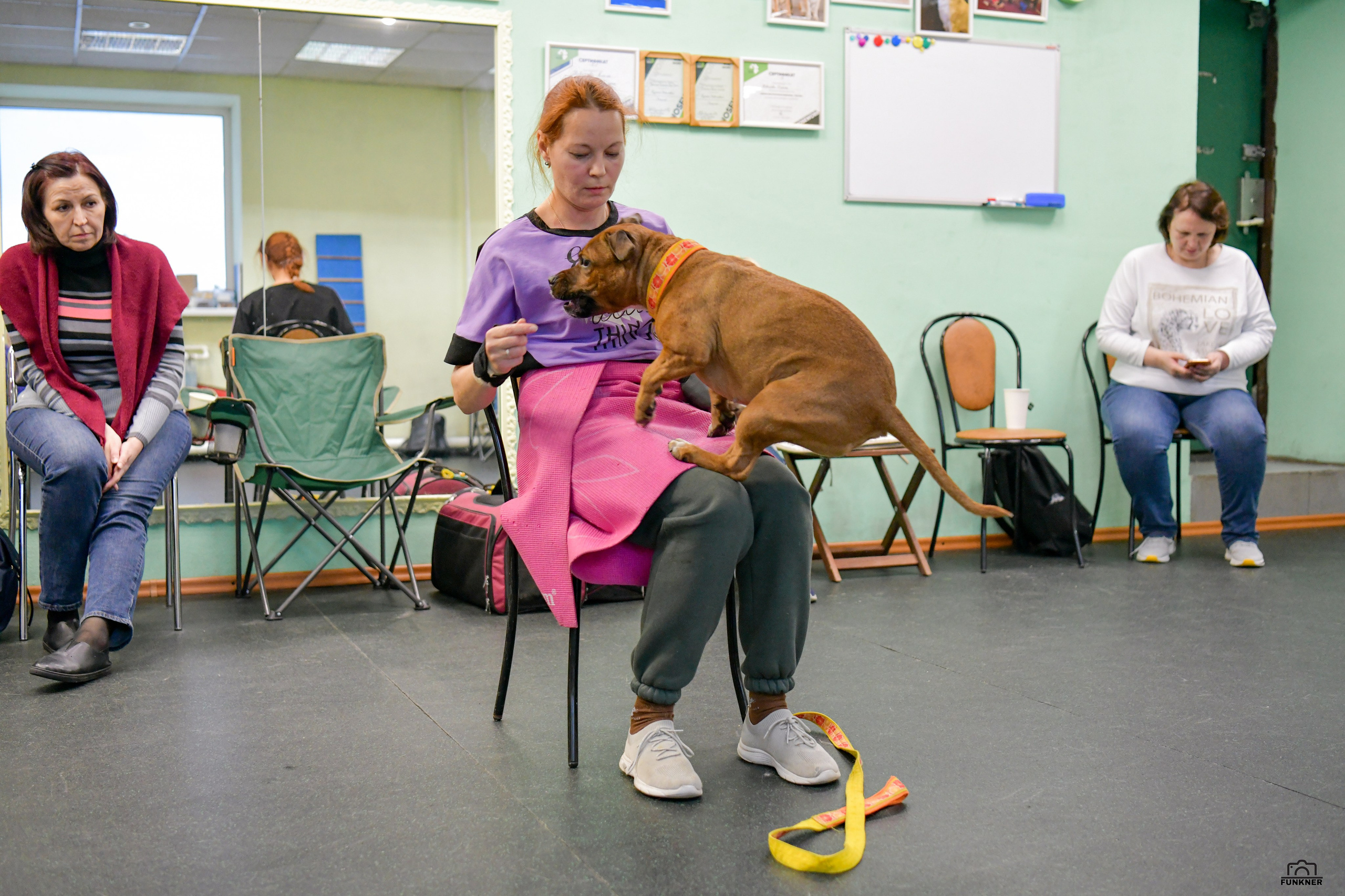 Кинологический клуб «Бодрый хвост». Свой взгляд через объектив