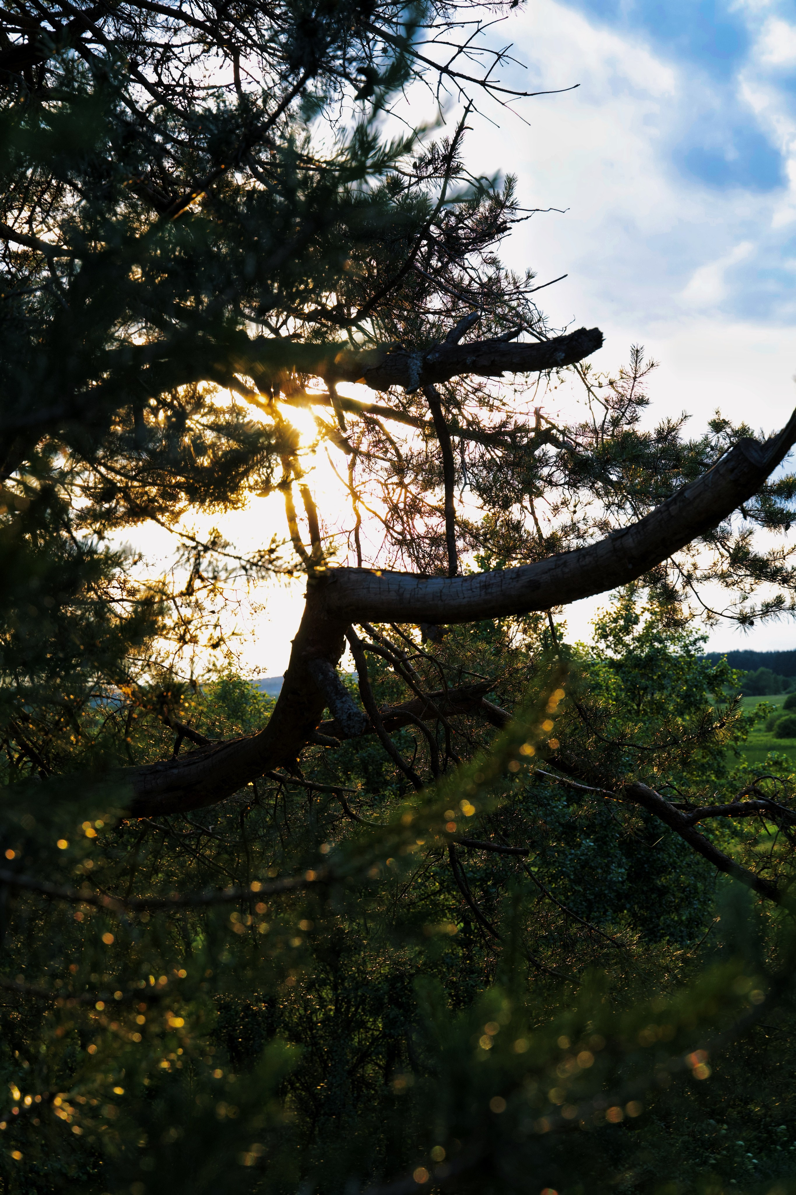 ПРИРОДА. Разноплановый фотограф из Москвы/Твери