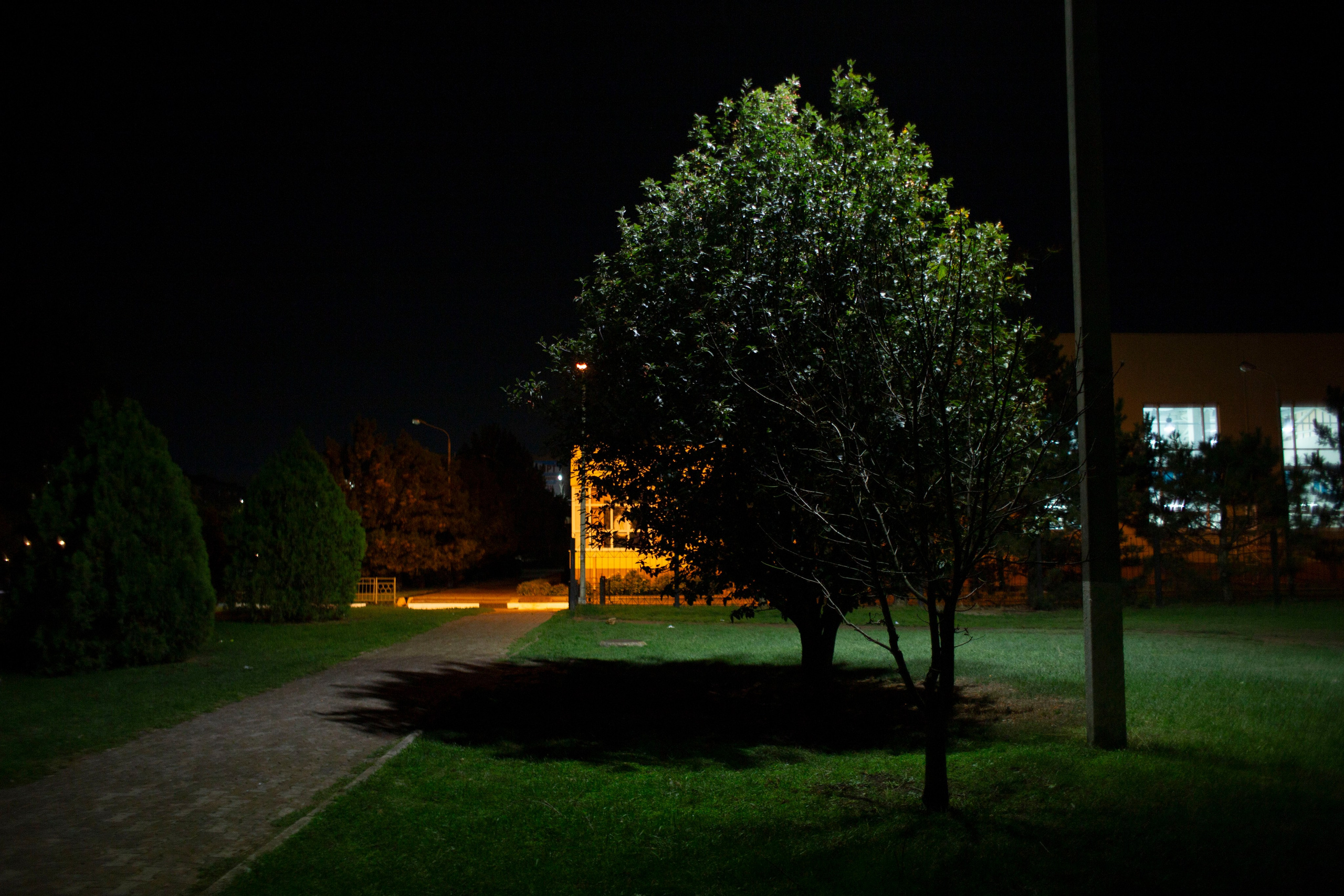 Street. Фотограф, в Ростове-на-дону