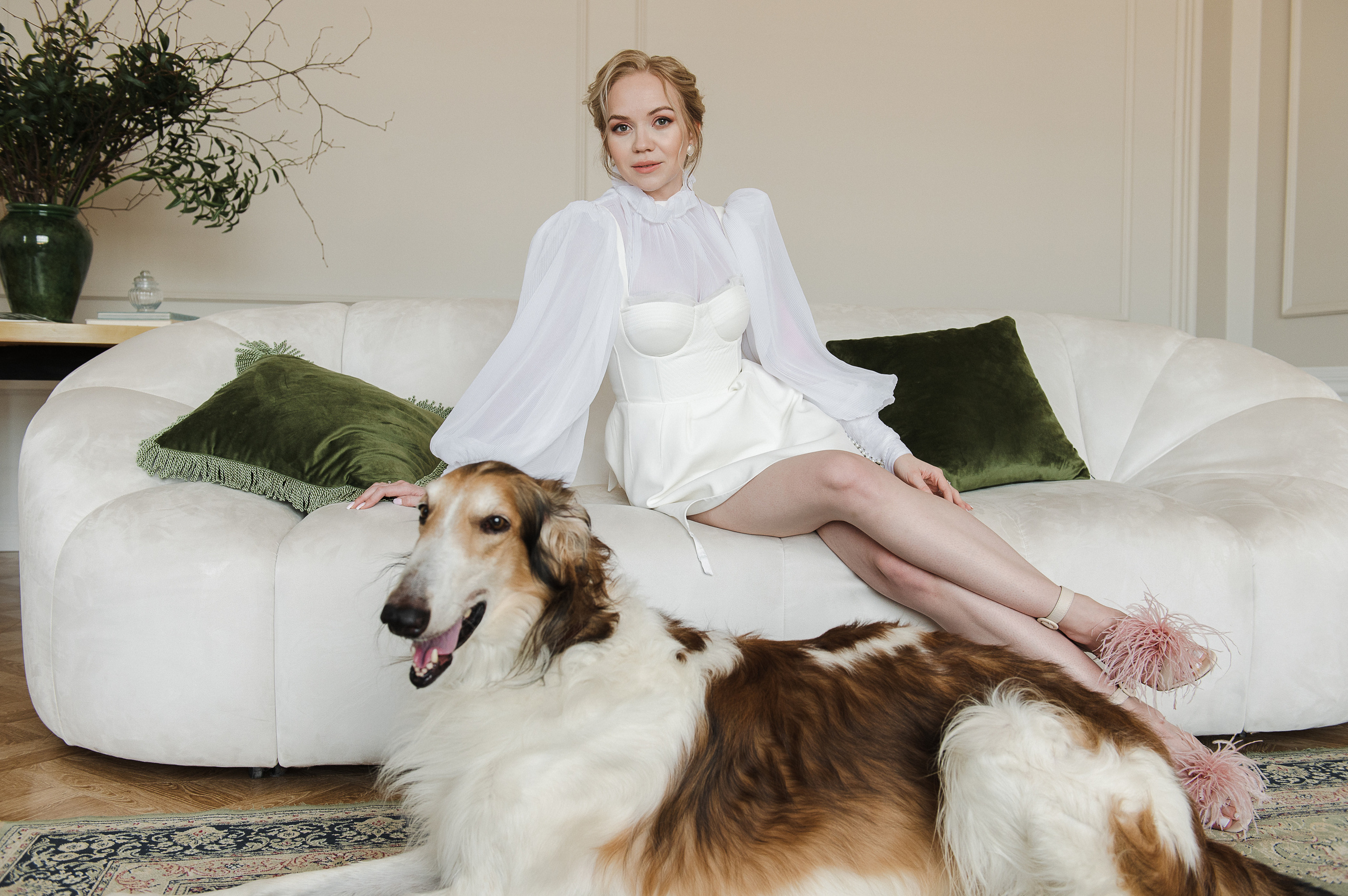 Студийная фотосессия с собаками. Екатерина Бакурова — контент фотограф, женский фотограф в Краснодаре