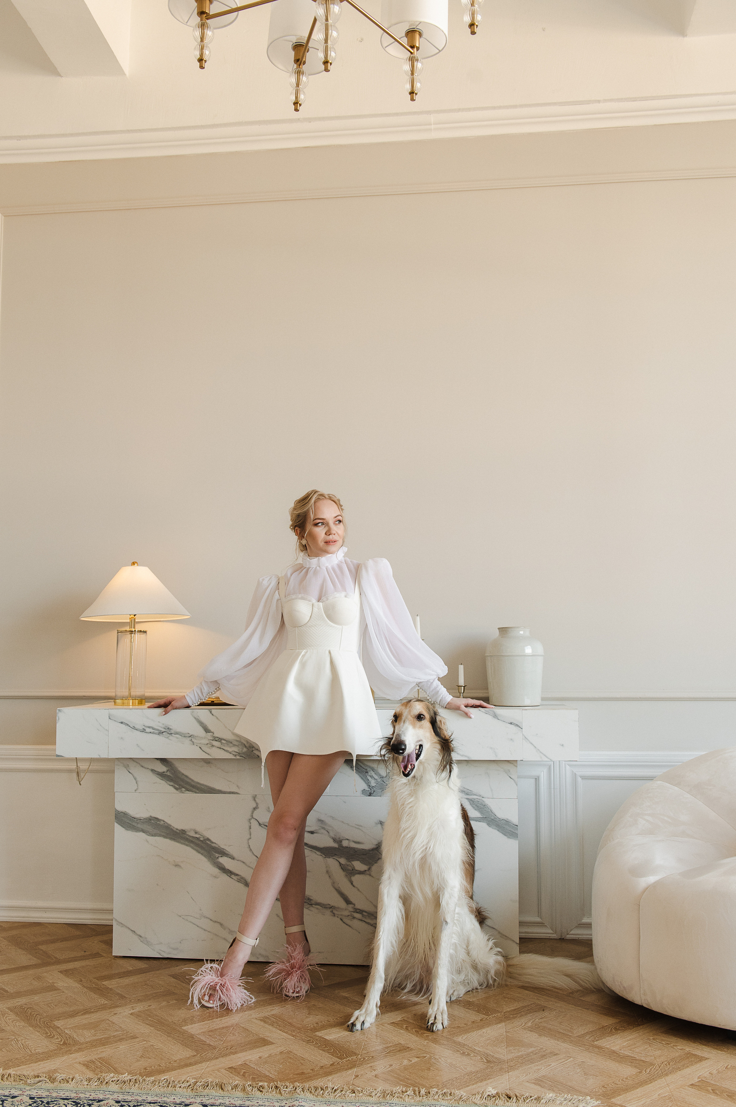 Студийная фотосессия с собаками. Екатерина Бакурова — контент фотограф, женский фотограф в Краснодаре