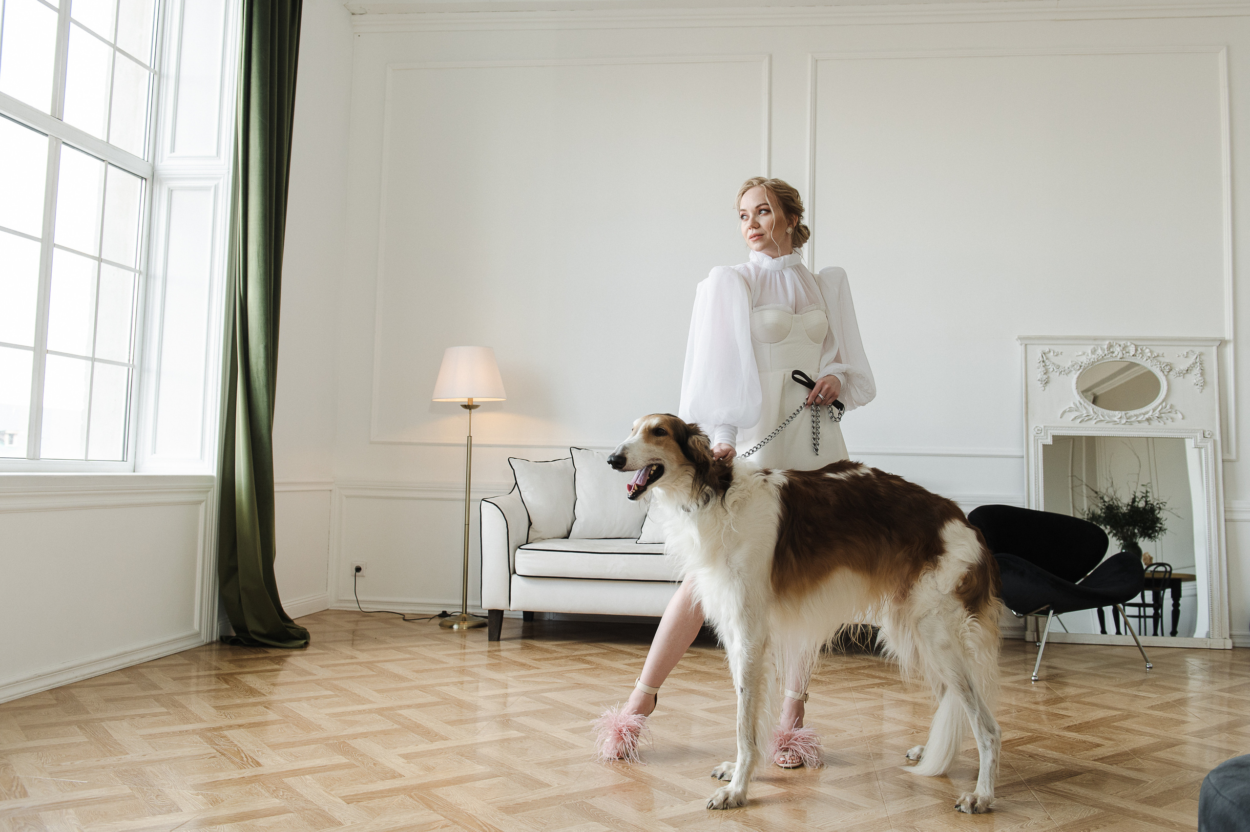 Студийная фотосессия с собаками. Екатерина Бакурова — контент фотограф, женский фотограф в Краснодаре