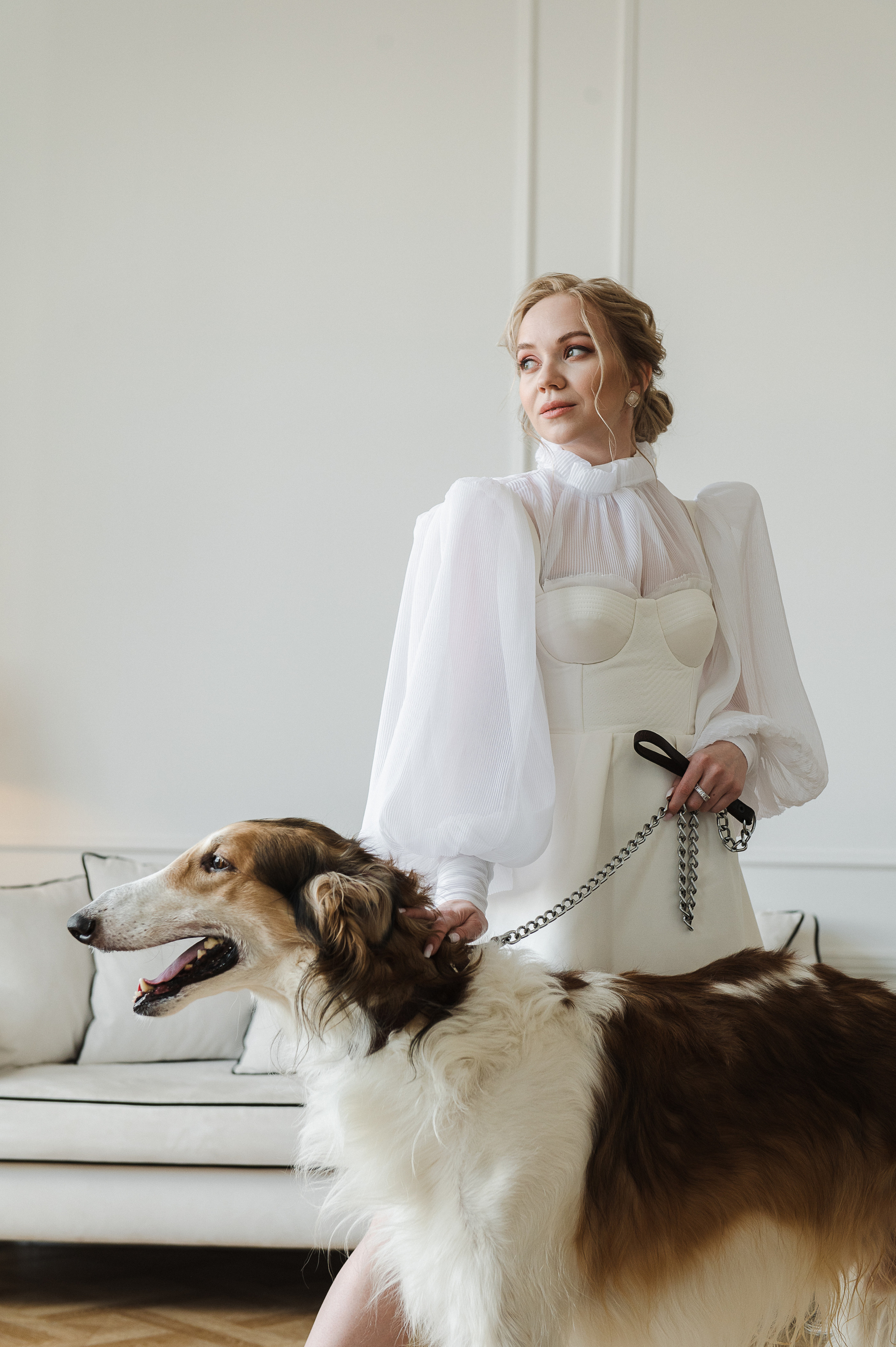 Студийная фотосессия с собаками. Екатерина Бакурова — контент фотограф, женский фотограф в Краснодаре