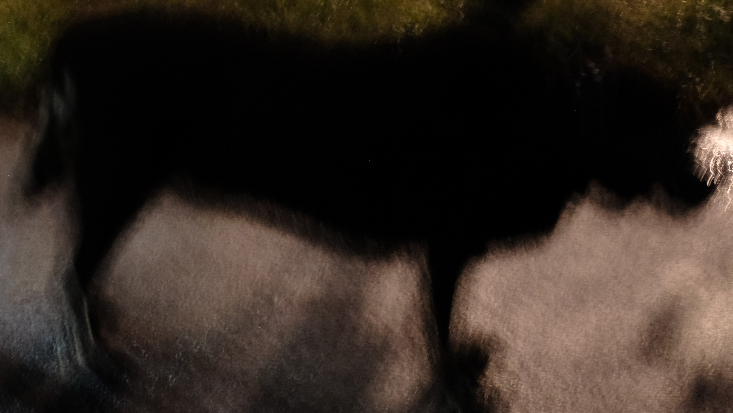 Walking through damp and darkness. Фотограф Антонина Гудкова
